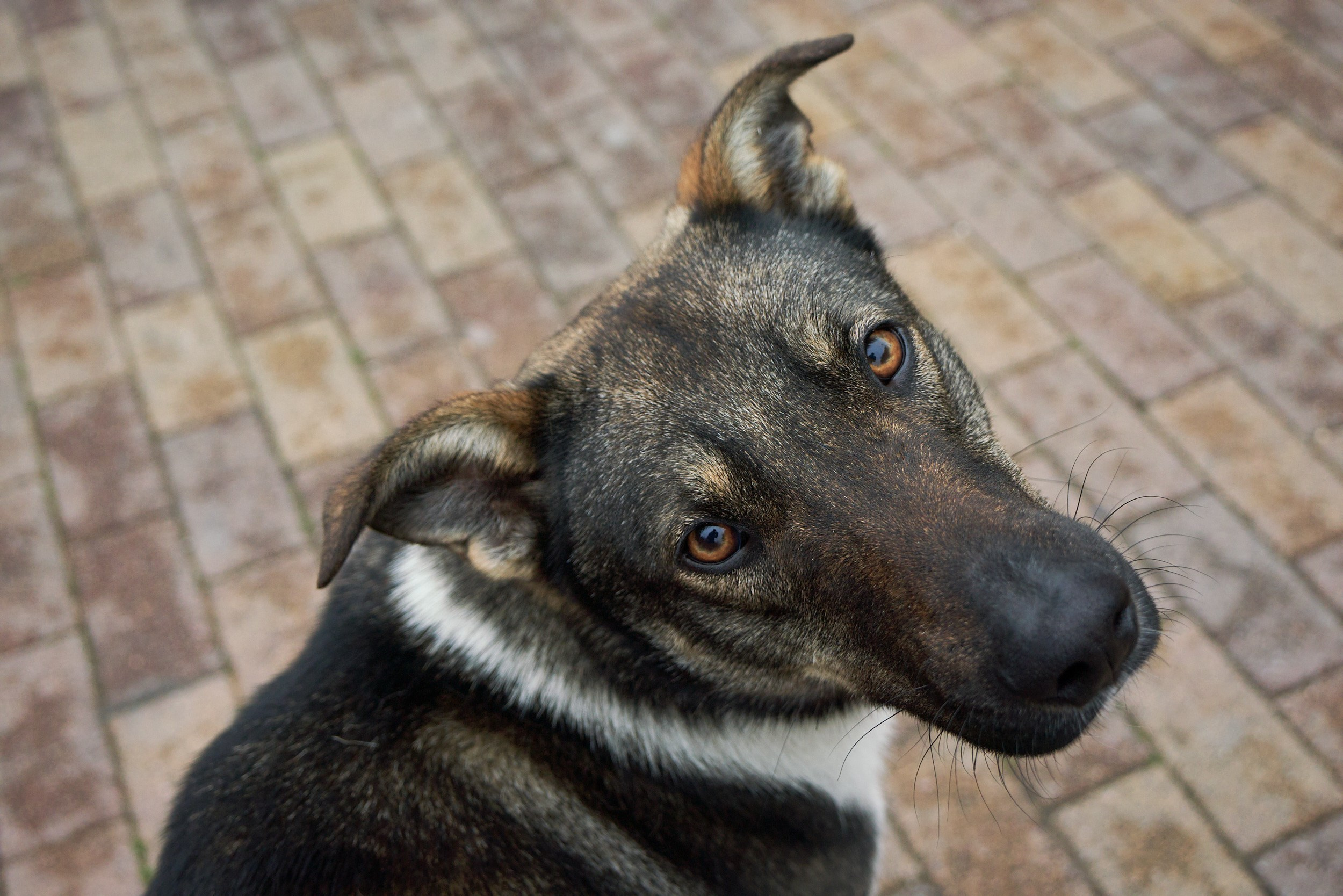 Фотографии улиц и пляжей Анапы. Профессиональный фотограф в Анапе Артем Ковальский