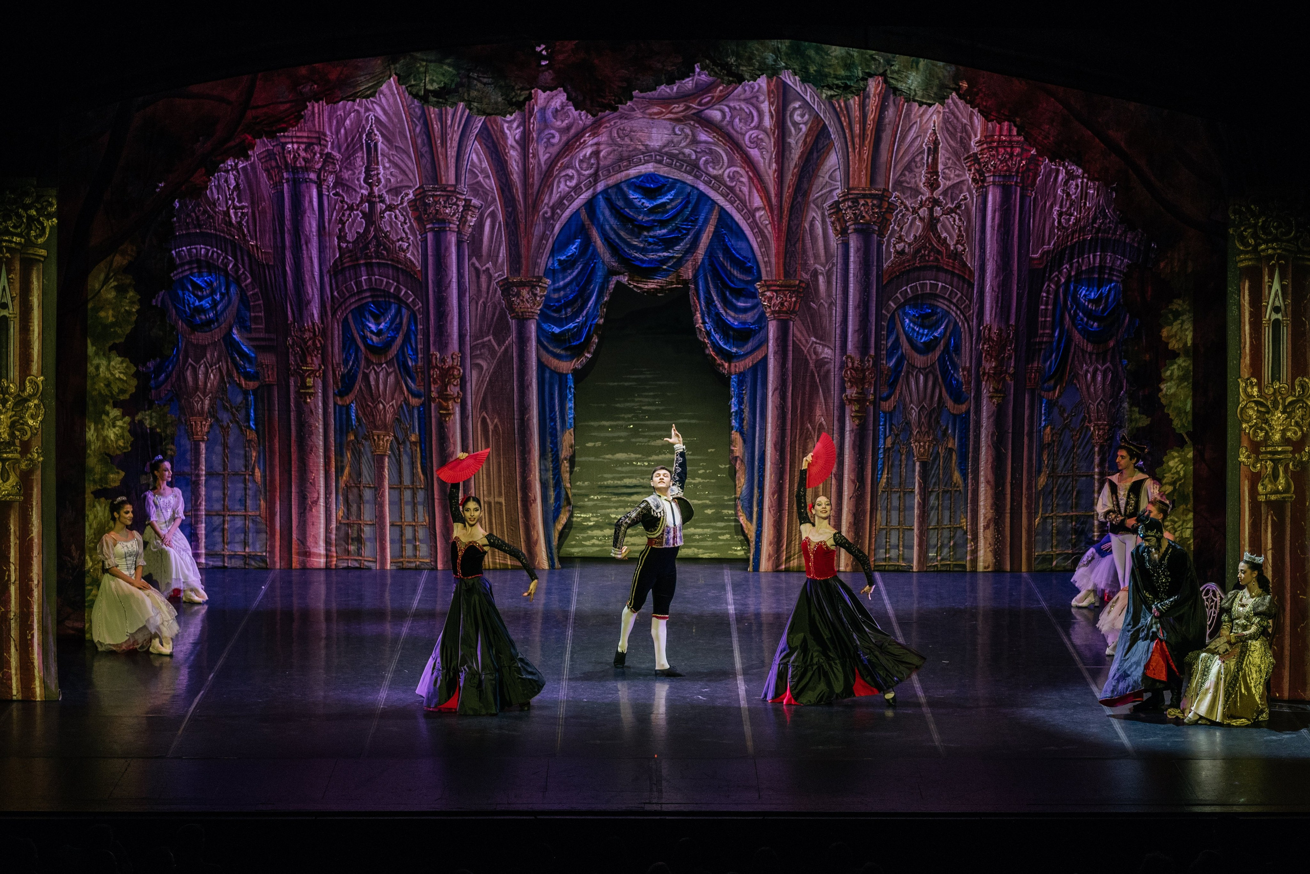 Ballet « Lac des Cygnes » à Genève. Photographe en Suisse et en Europe Anna Alekseenko