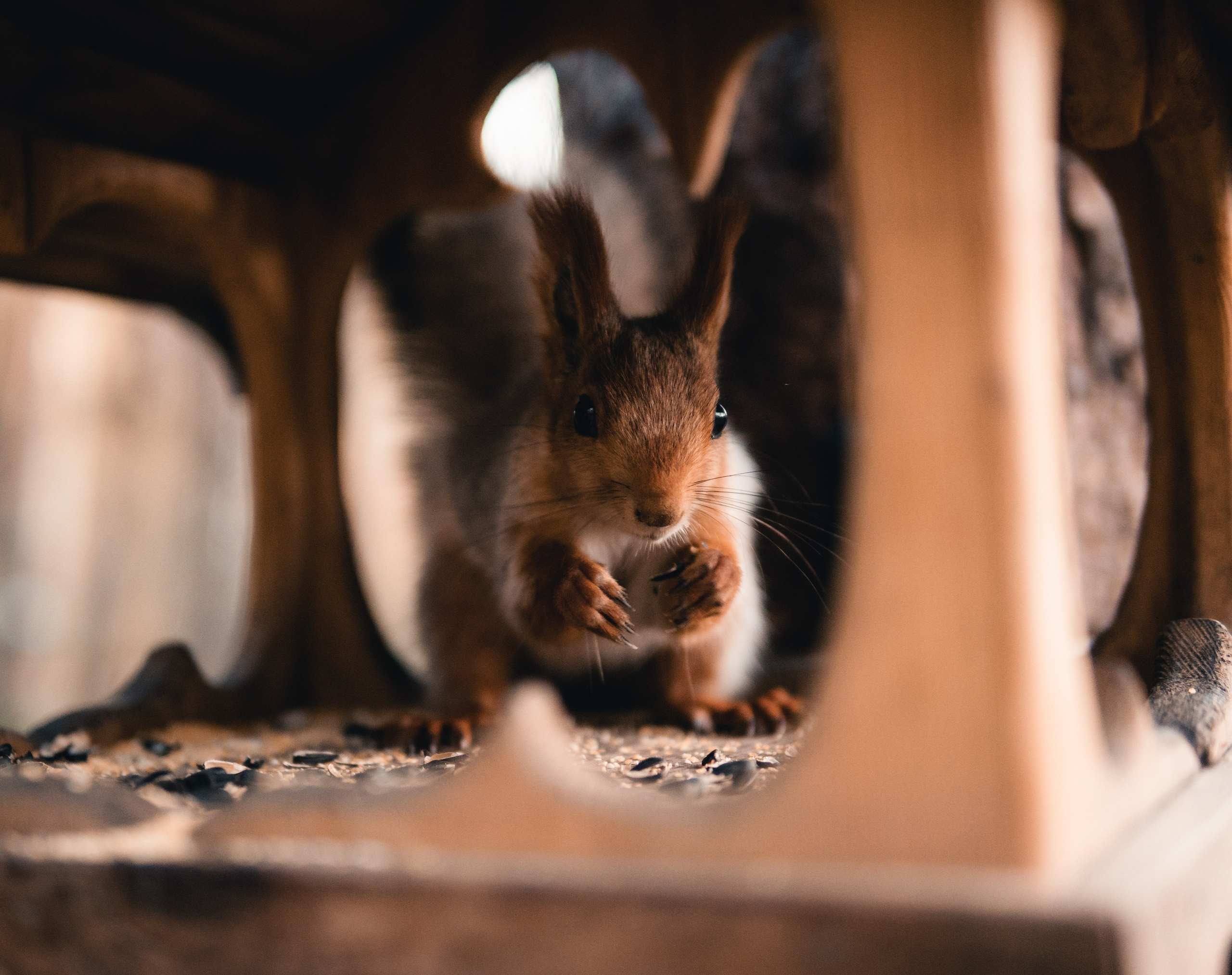 Прогулка по парку. Фотограф в Новосибирске