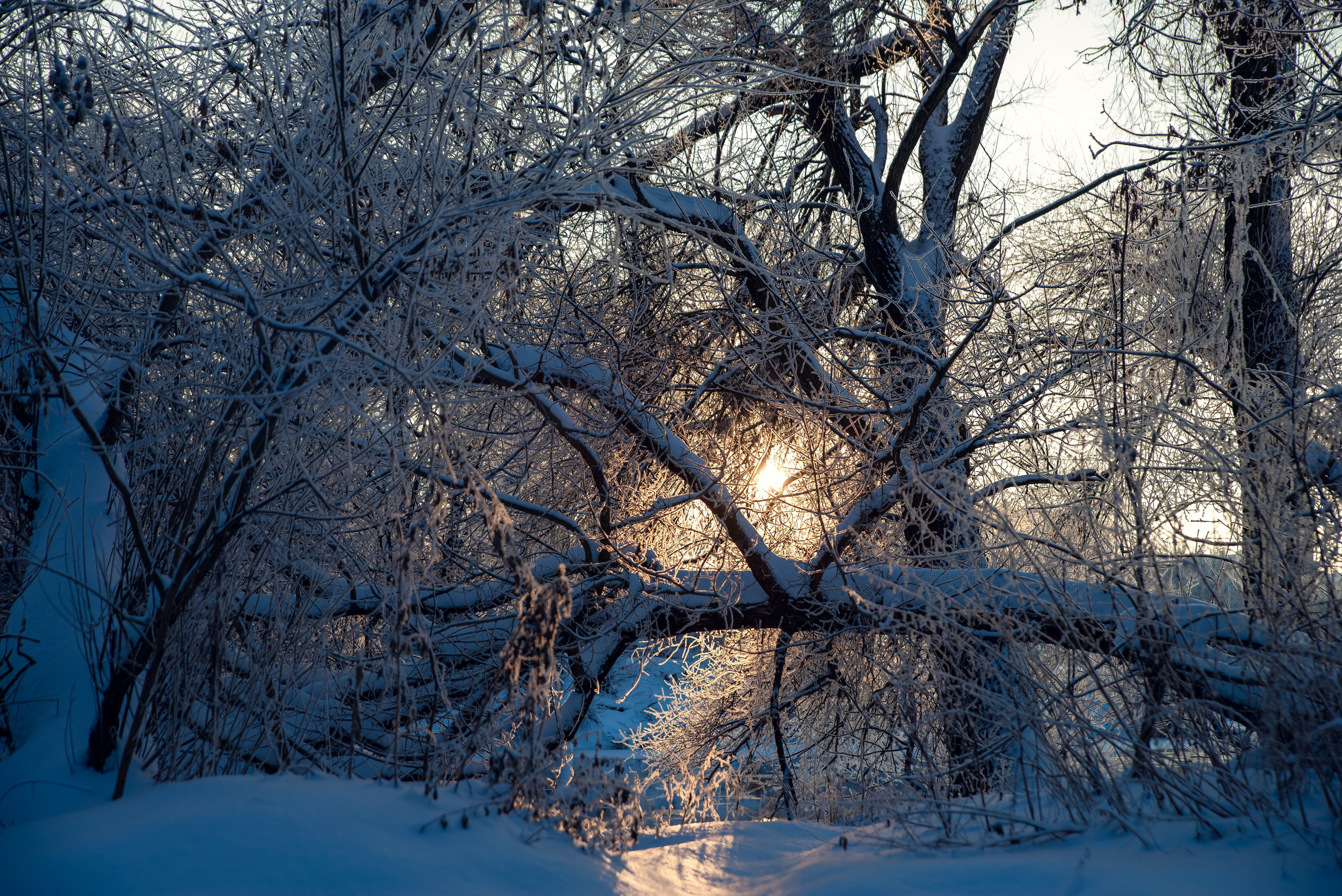Зимушка зима. Фотограф Крещение Венчание Москва