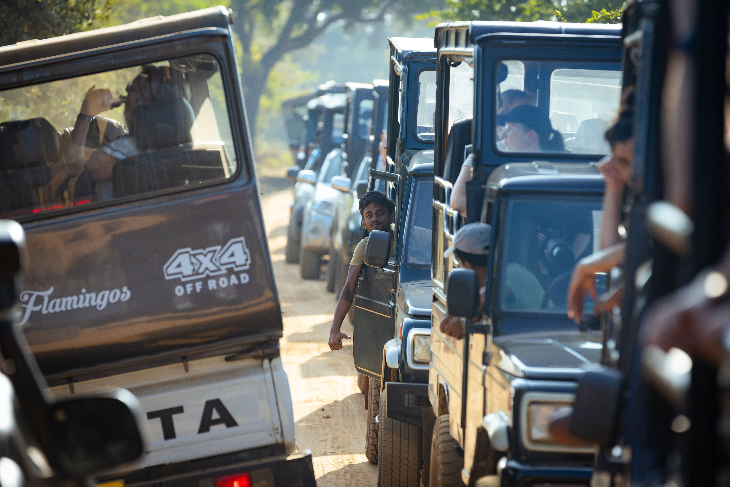 Шри-Ланка (весна 2024). Фотограф Виноградов Константин