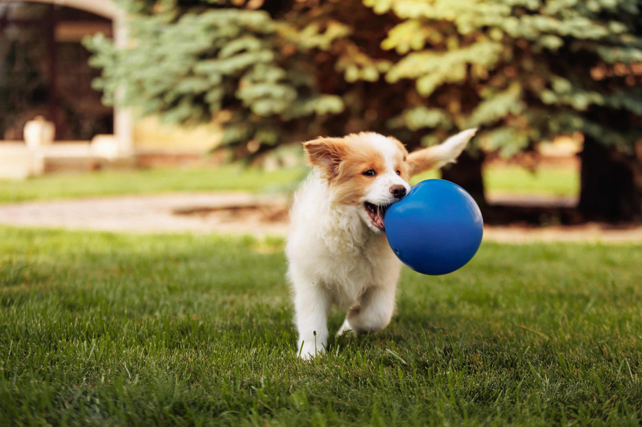 СОлнечные. О нас