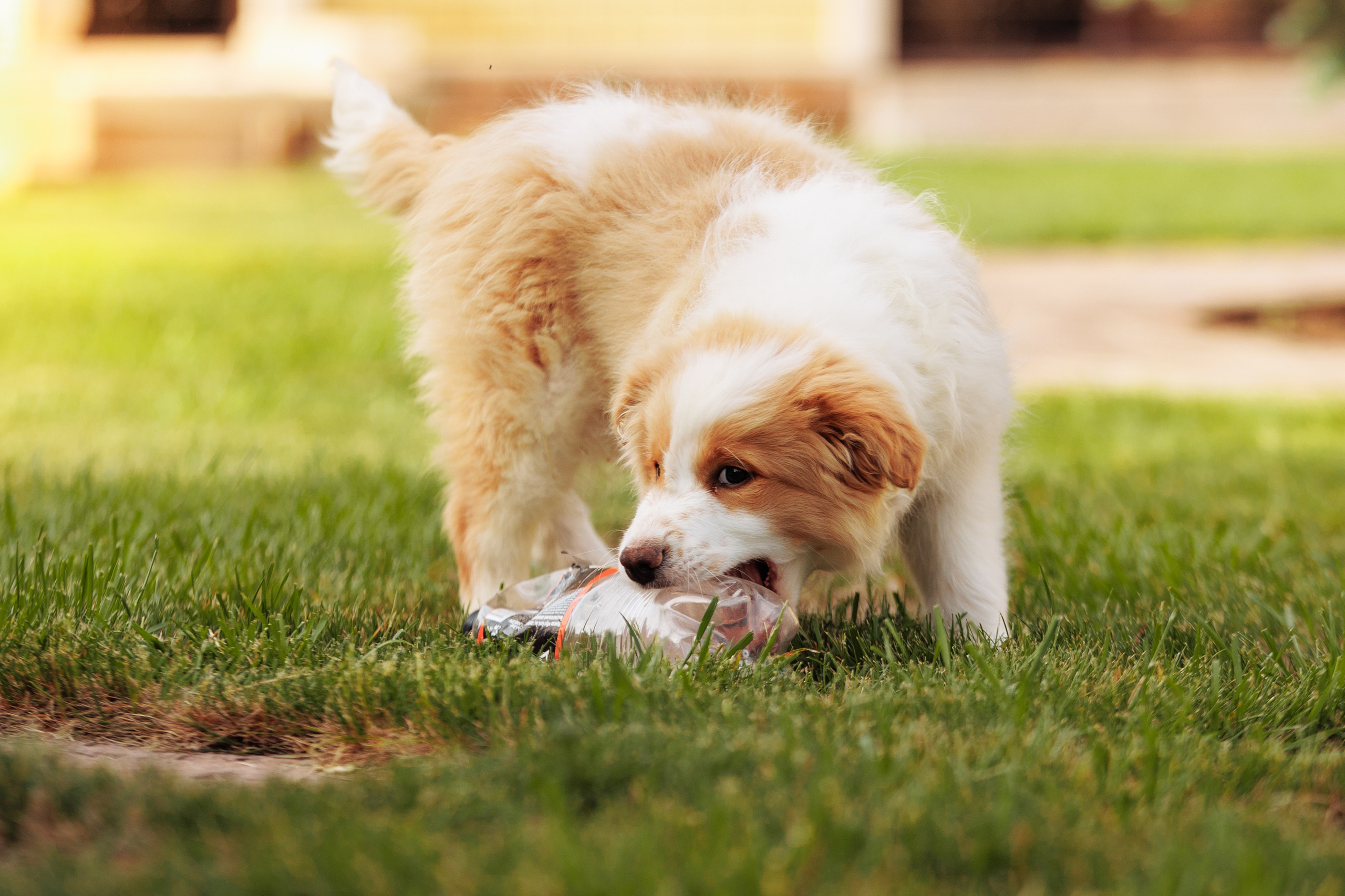 СОлнечные. О нас