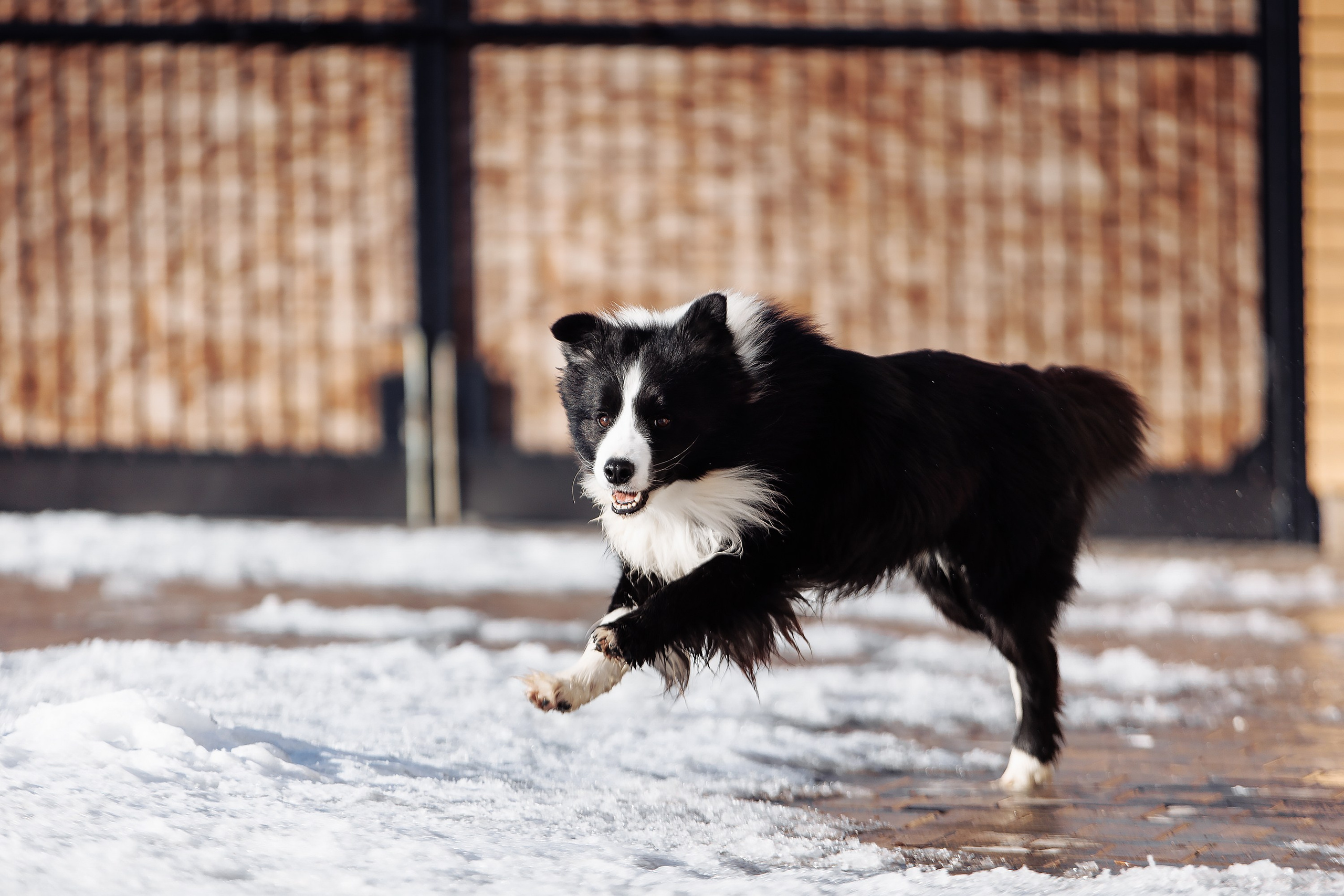 Пока таяло. О нас