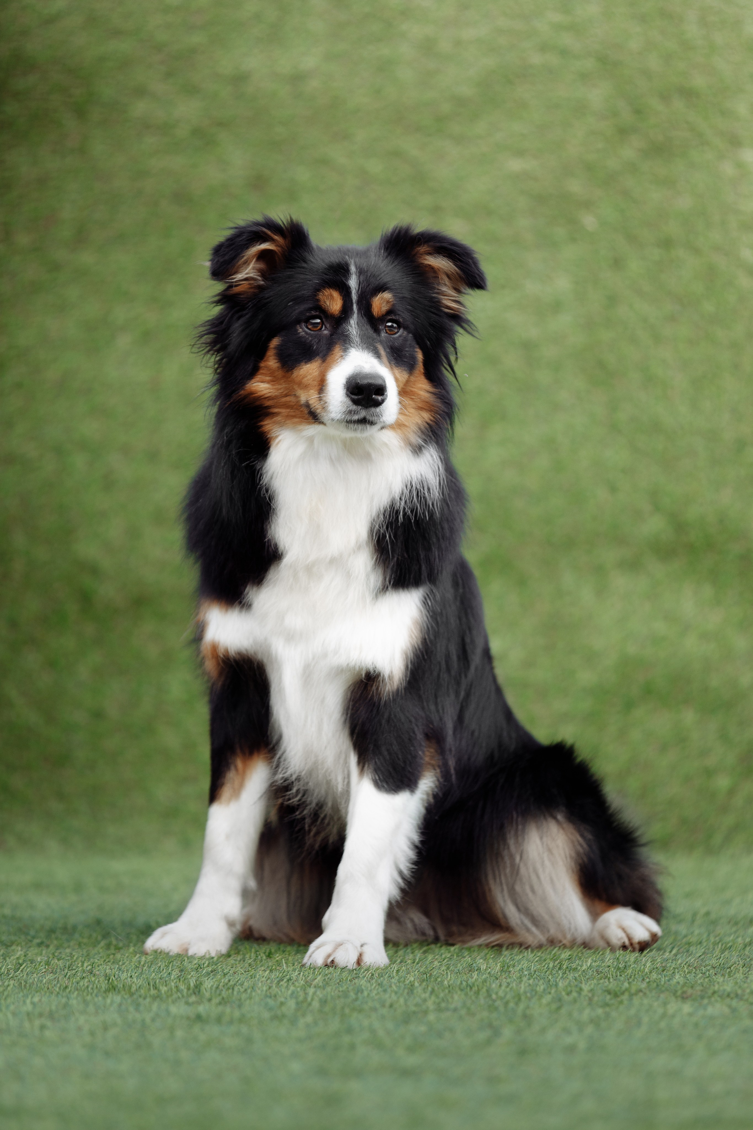 Свое место. О нас