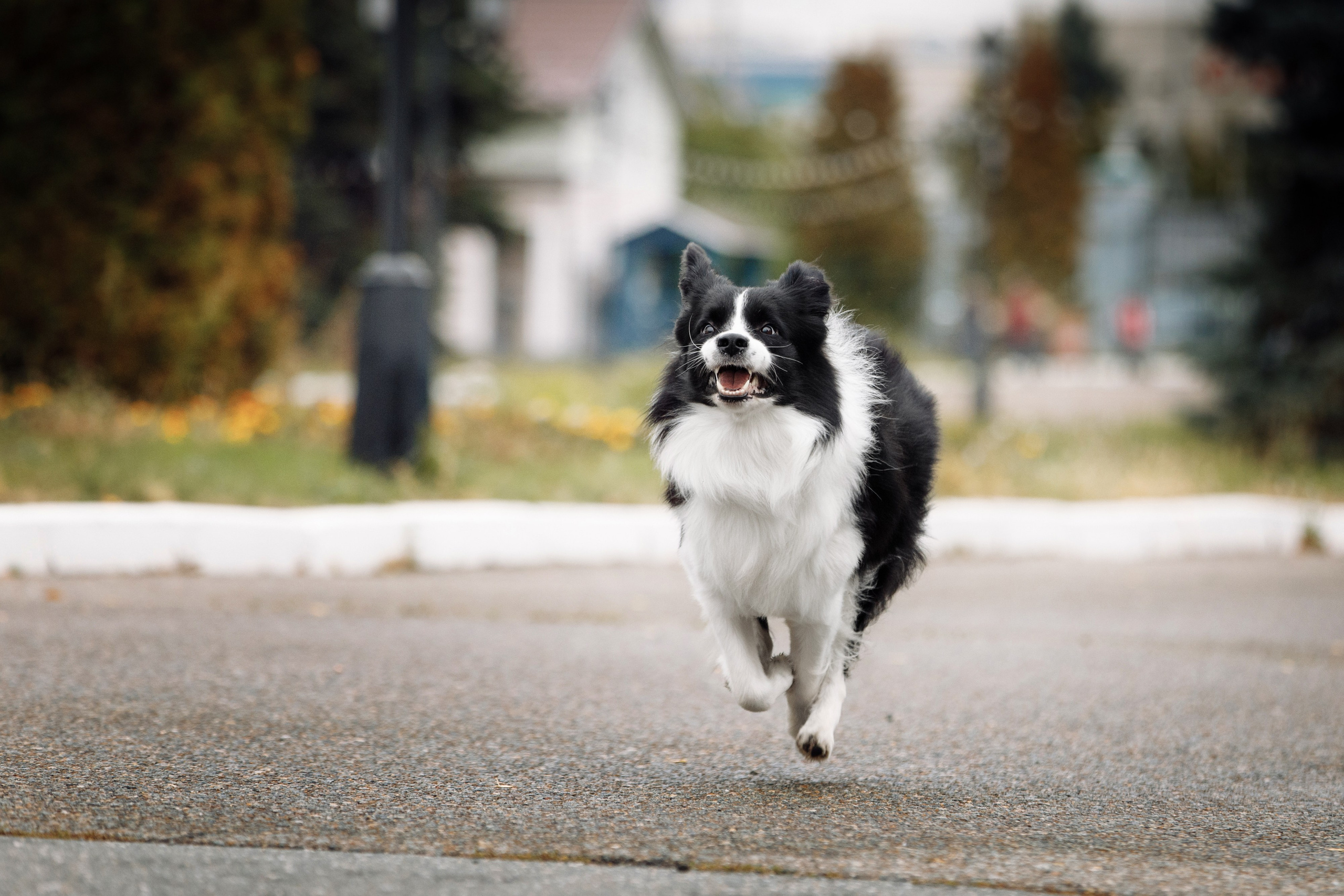 Казань. О нас