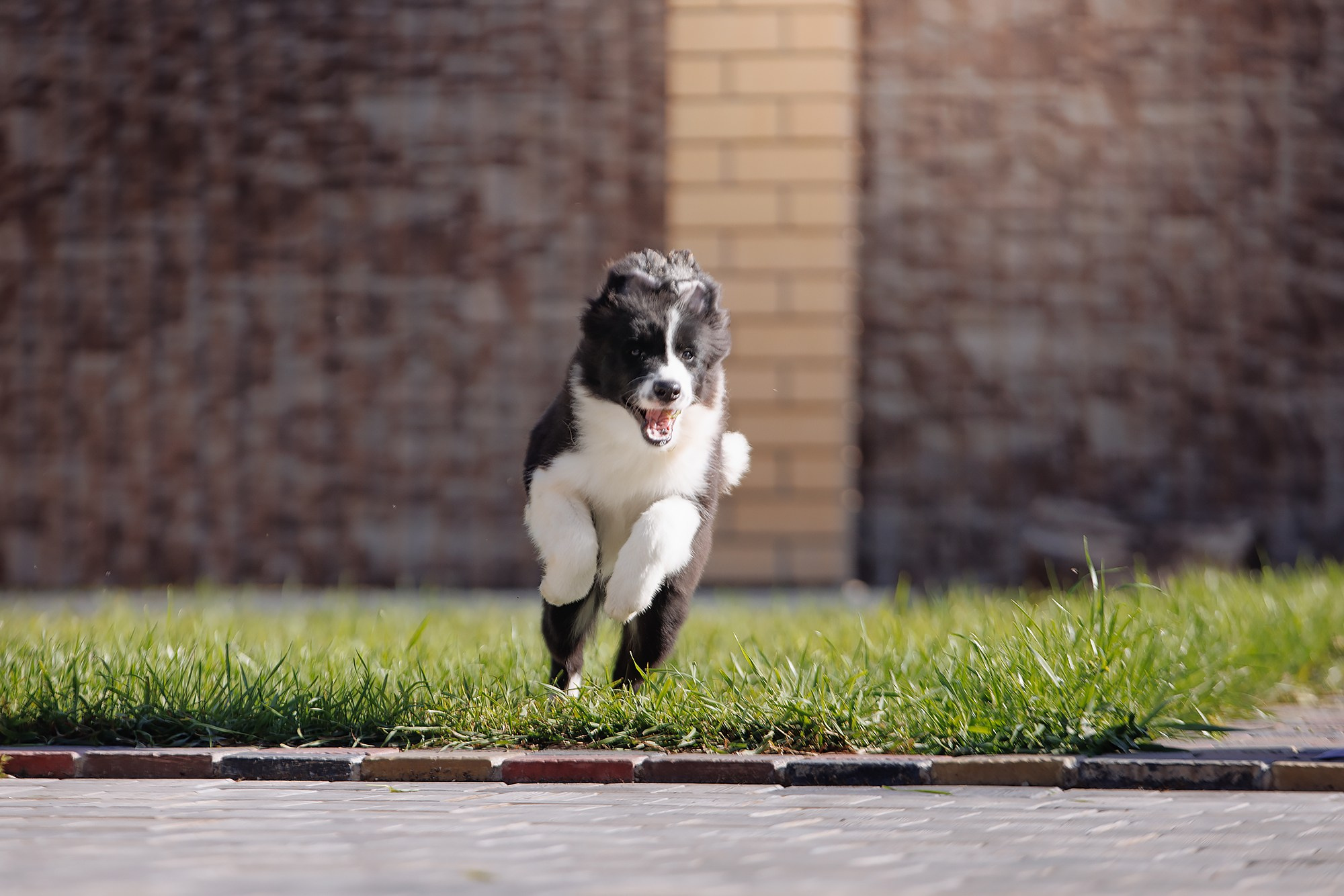 Трава у дома. О нас