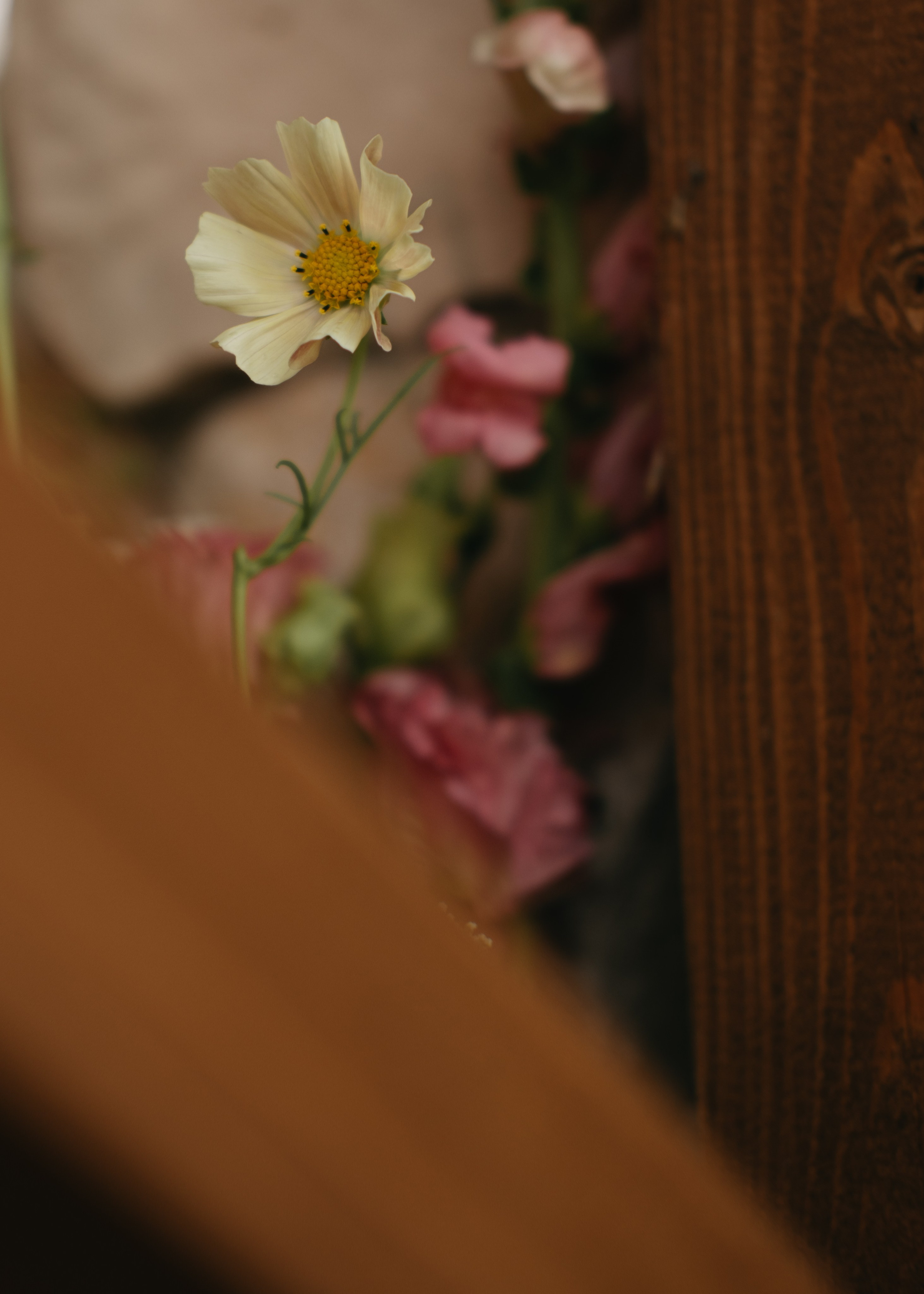 Молодые счастливые. Обо мне