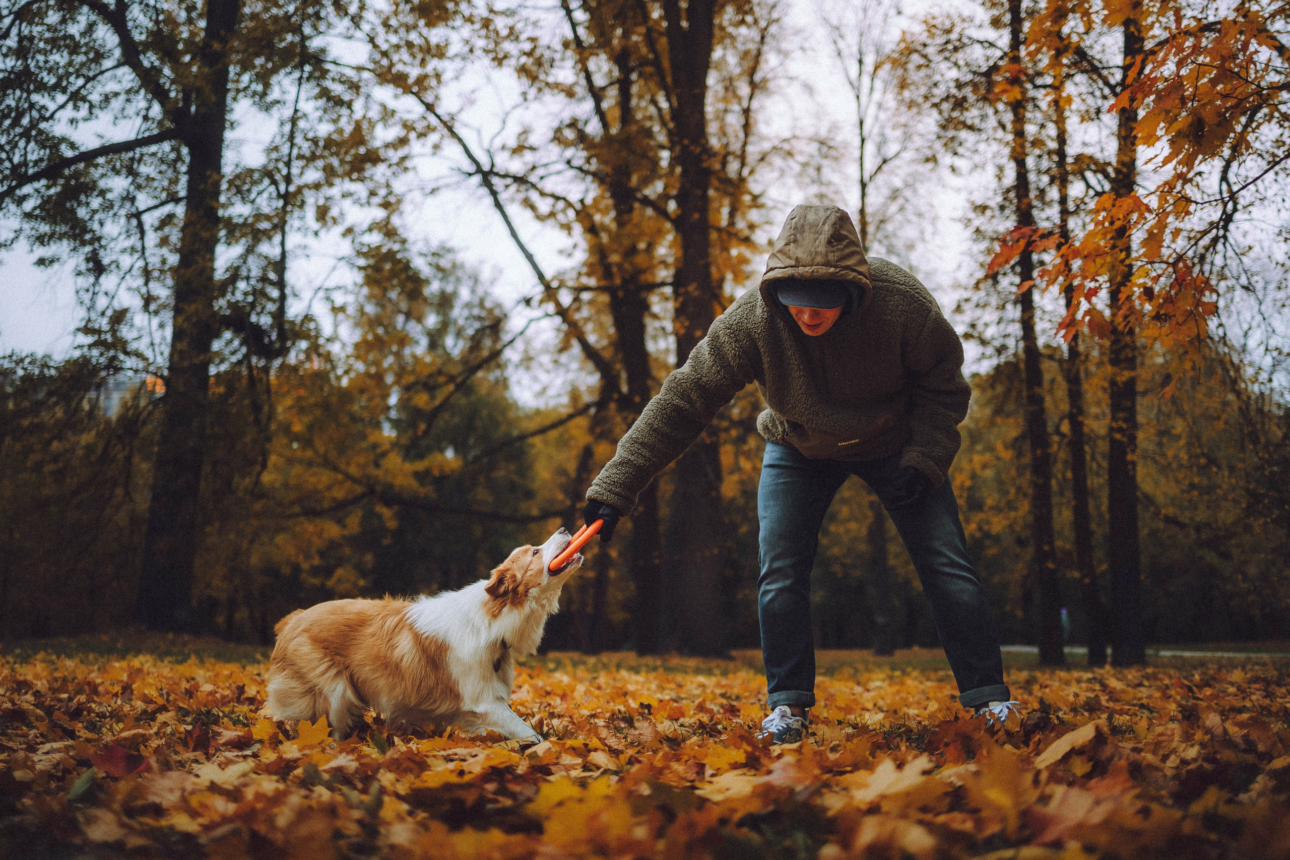 Алина, Витя и Асти