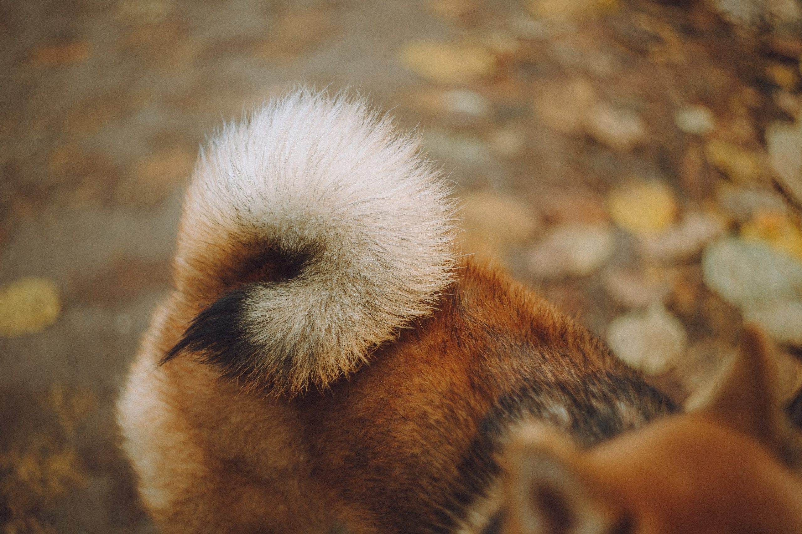 Настя, Юра и Скай