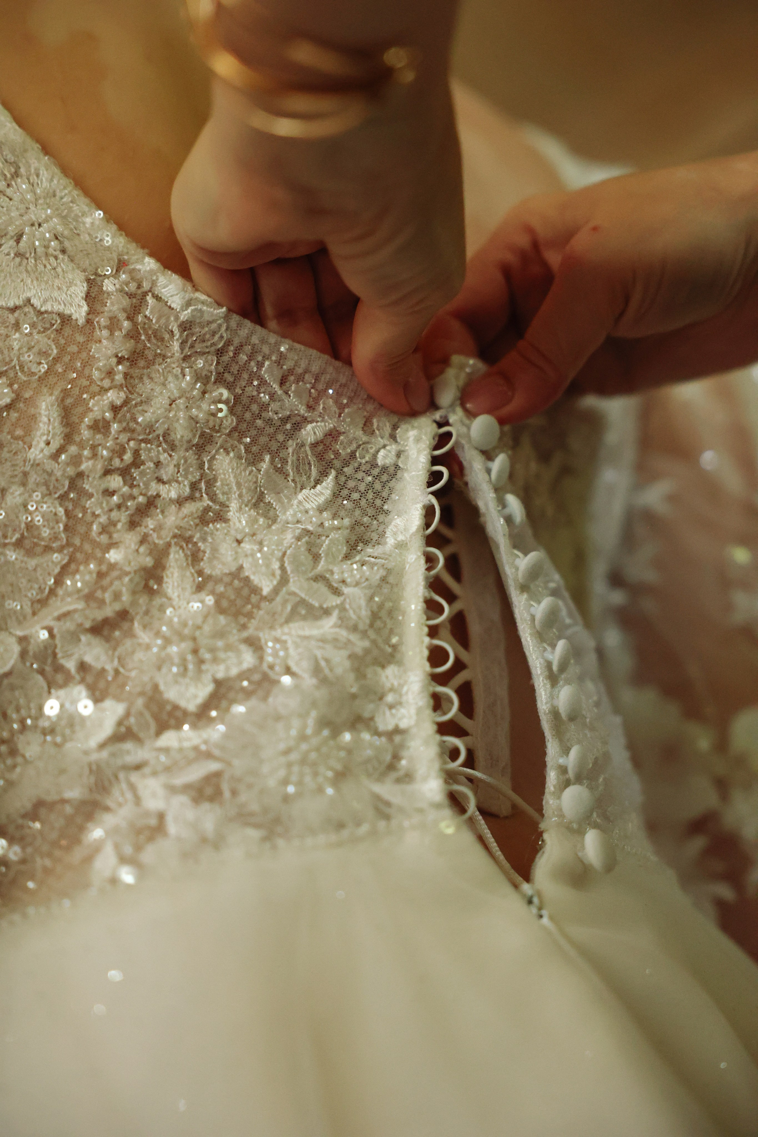 Green-house. Главная