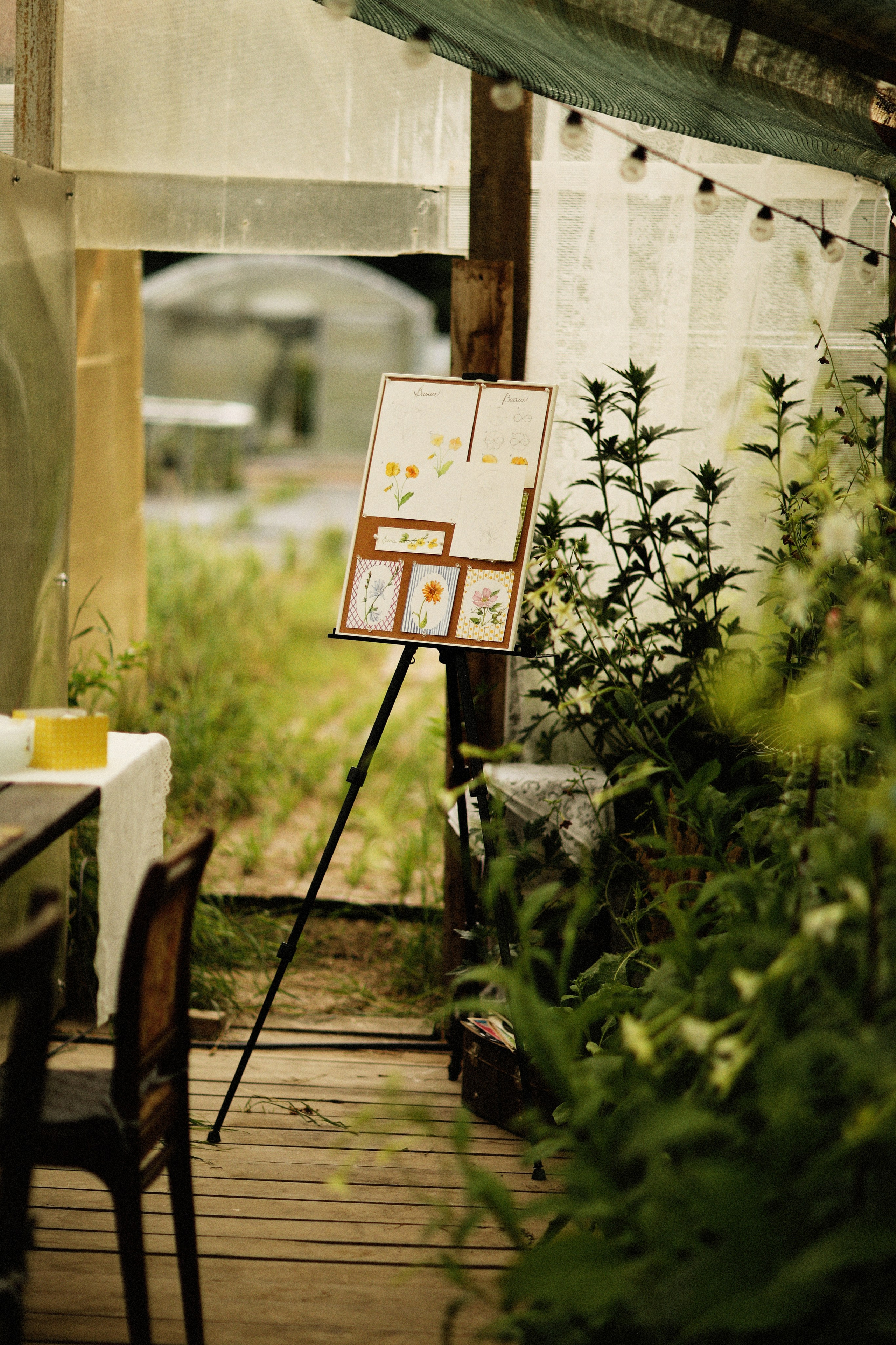 Тимбилдинг на цветочной ферме ЛЕВАДА. Семейный и детский фотограф Москва