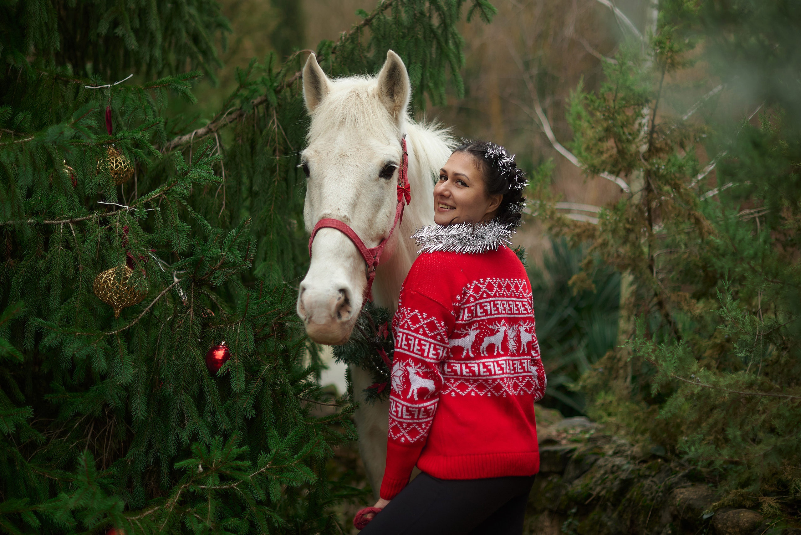 Диана, Гром и Мандаринка. Фотограф в Севастополе