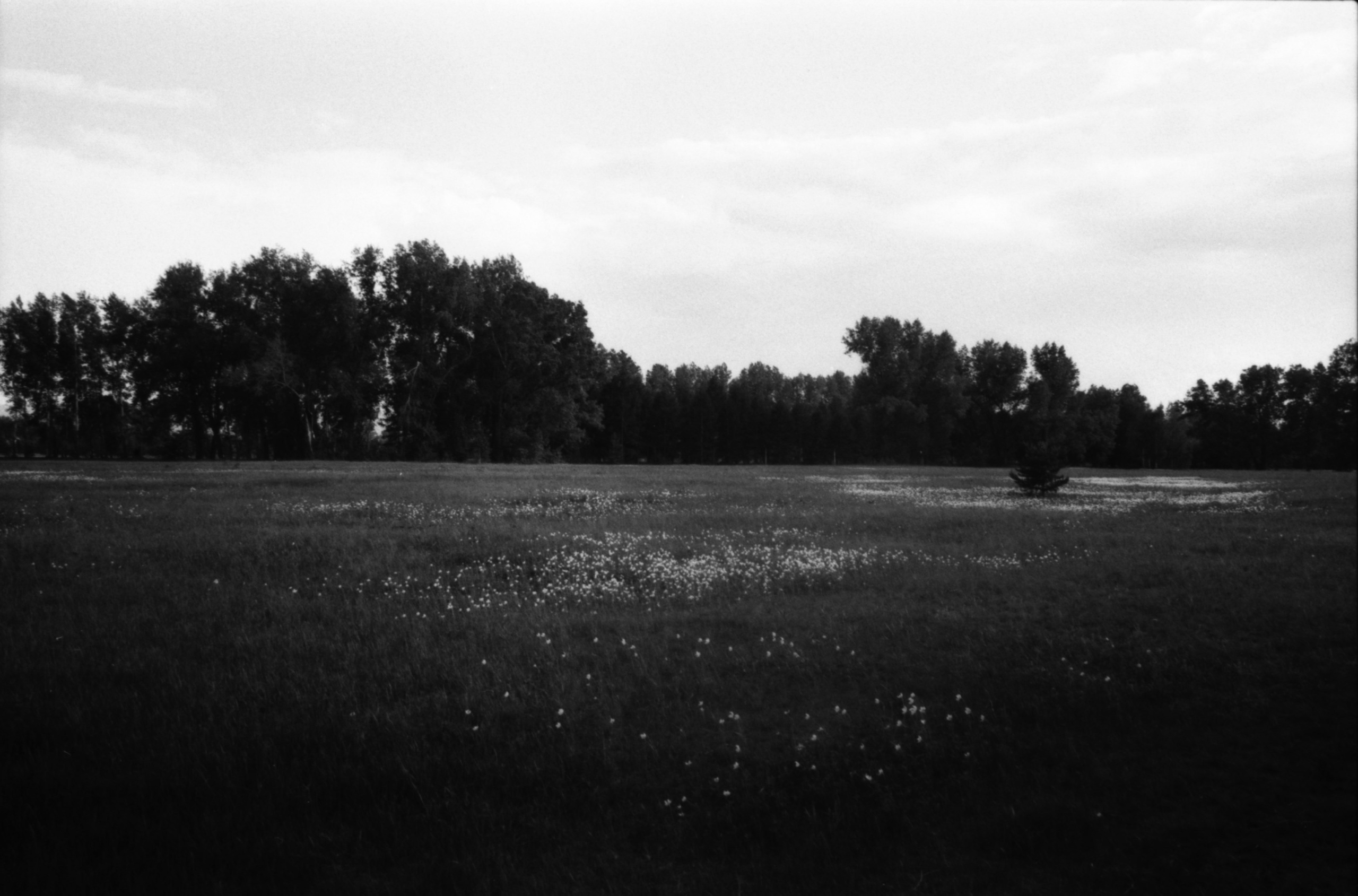 Spaces and faces 2013-∞. Наталья Рутова