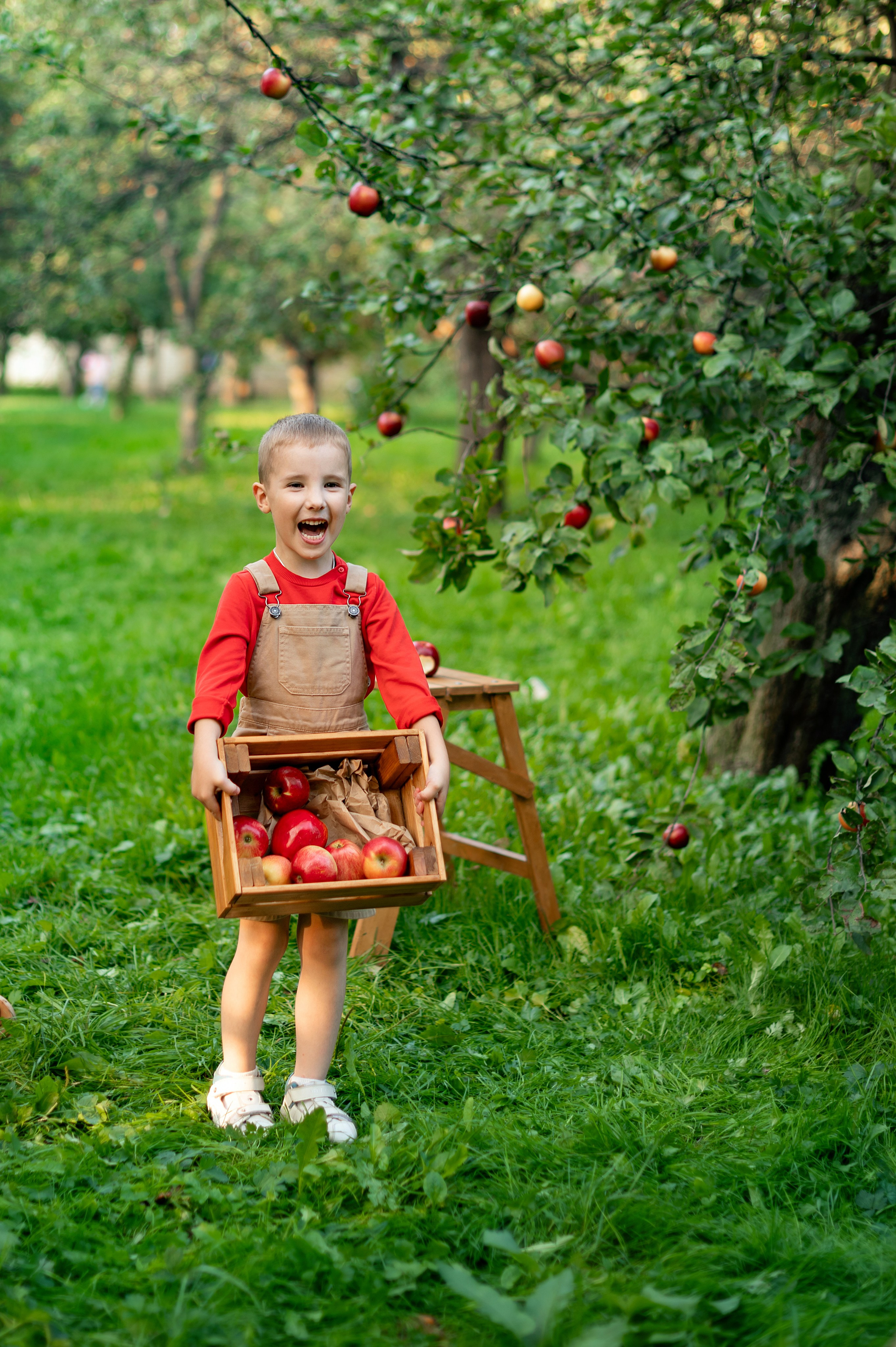 Яблоки. Детский и семейный фотограф г. Москва Оксана Катаджи