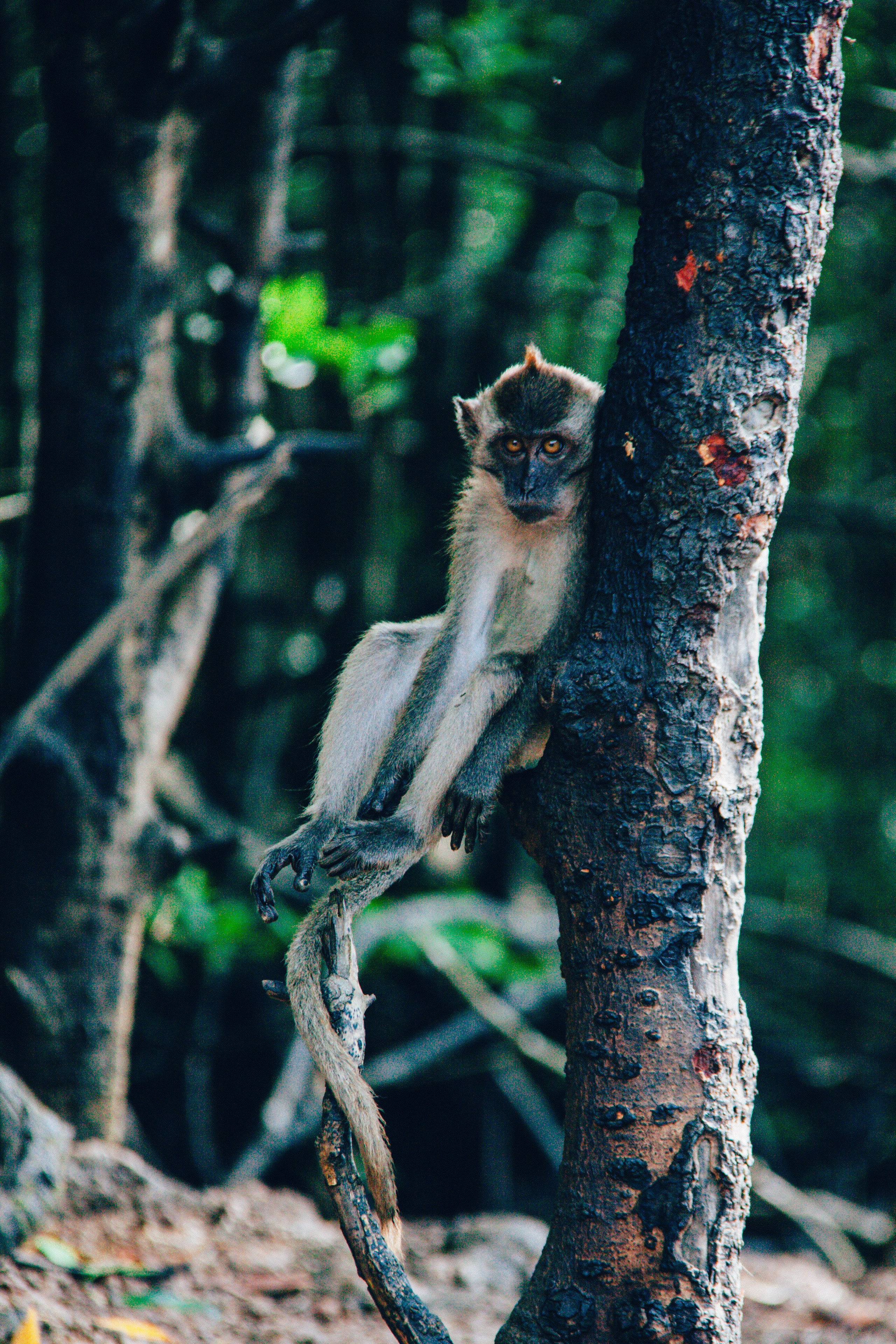 Malaysia. ДарияГалямова — фотограф: открытый, творческий, коммерческий