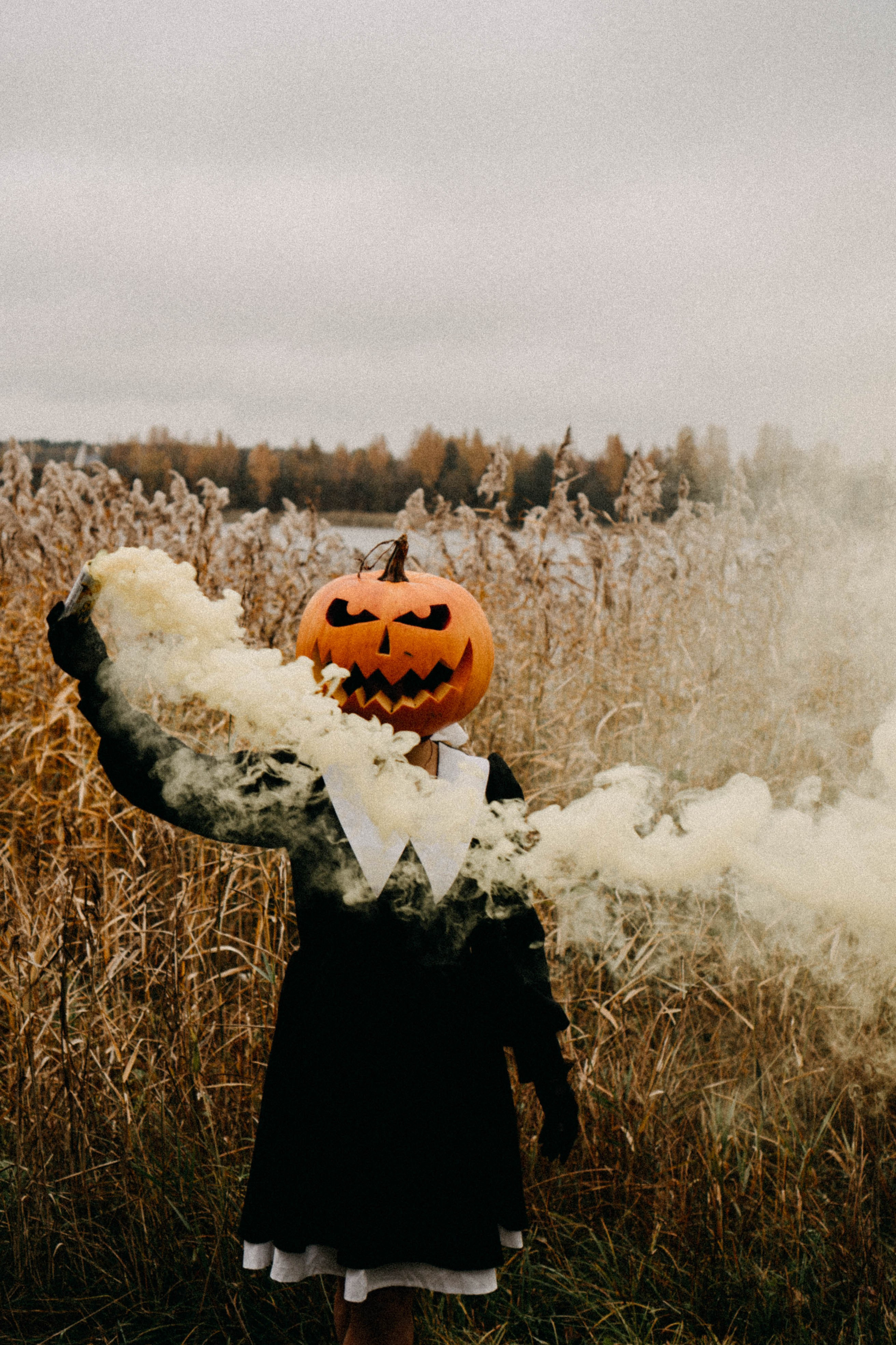Осеняя. Профессиональный фотограф, Санкт-Петербург — Виктория Богомолова