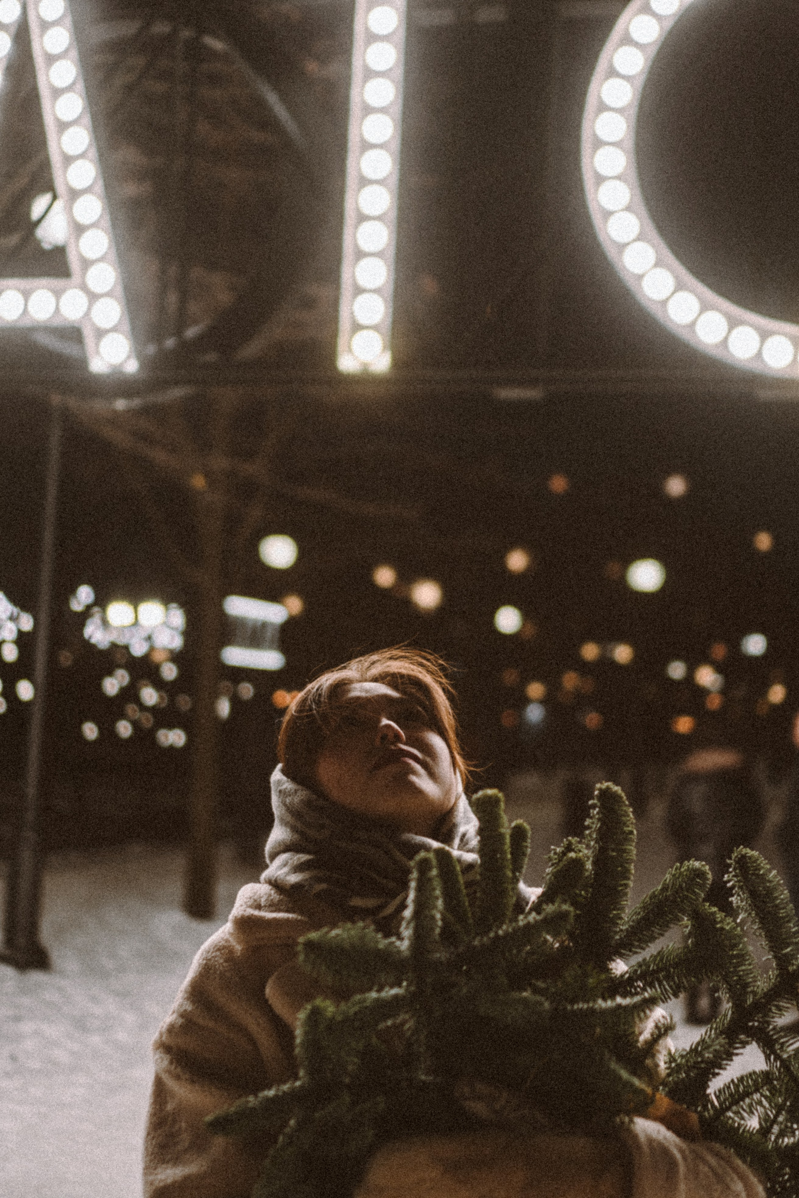 Зимняя сказка в Новой Голандии. Профессиональный фотограф, Санкт-Петербург — Виктория Богомолова