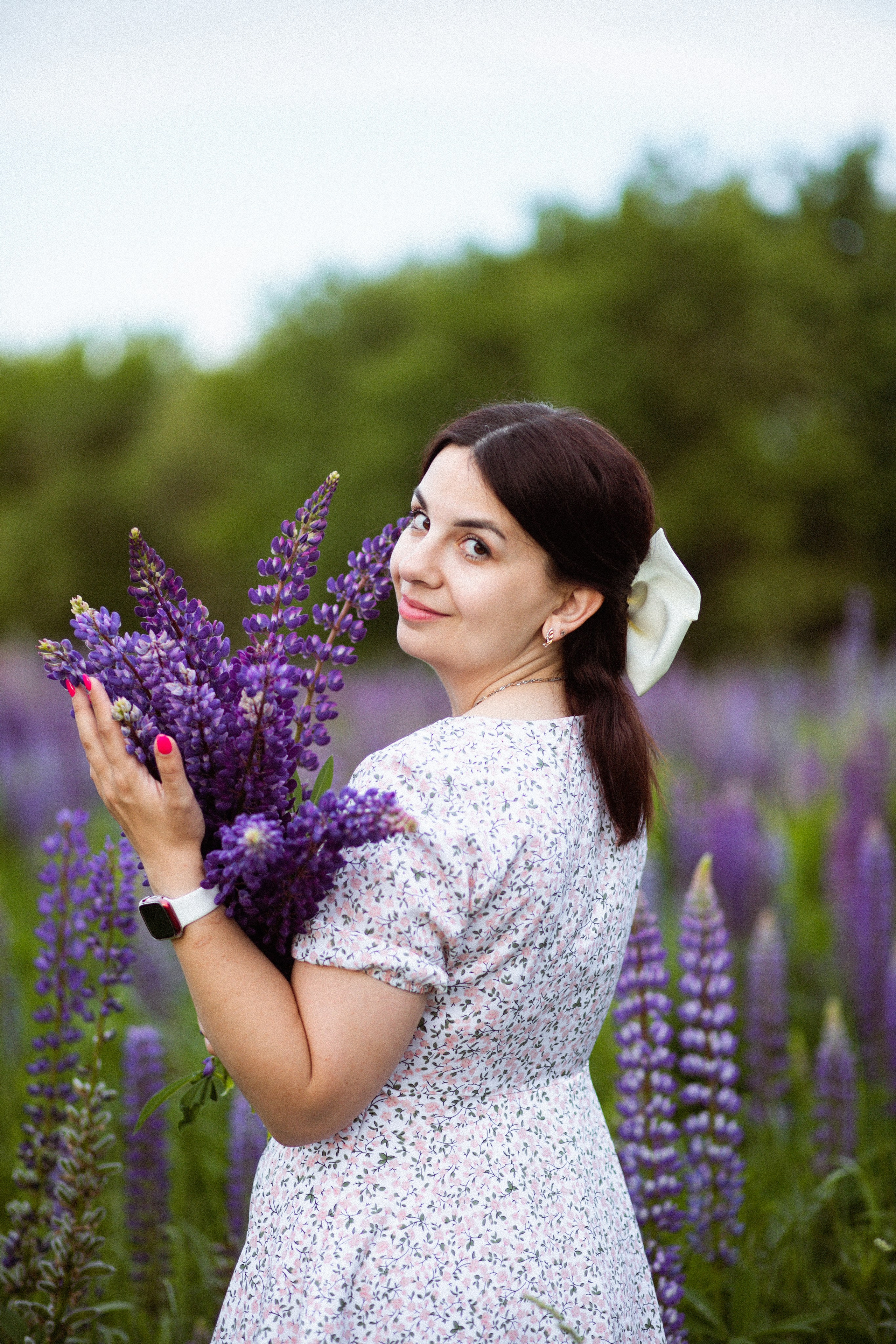Июньские люпины. Фотограф в Москве/Санкт-Петербурге