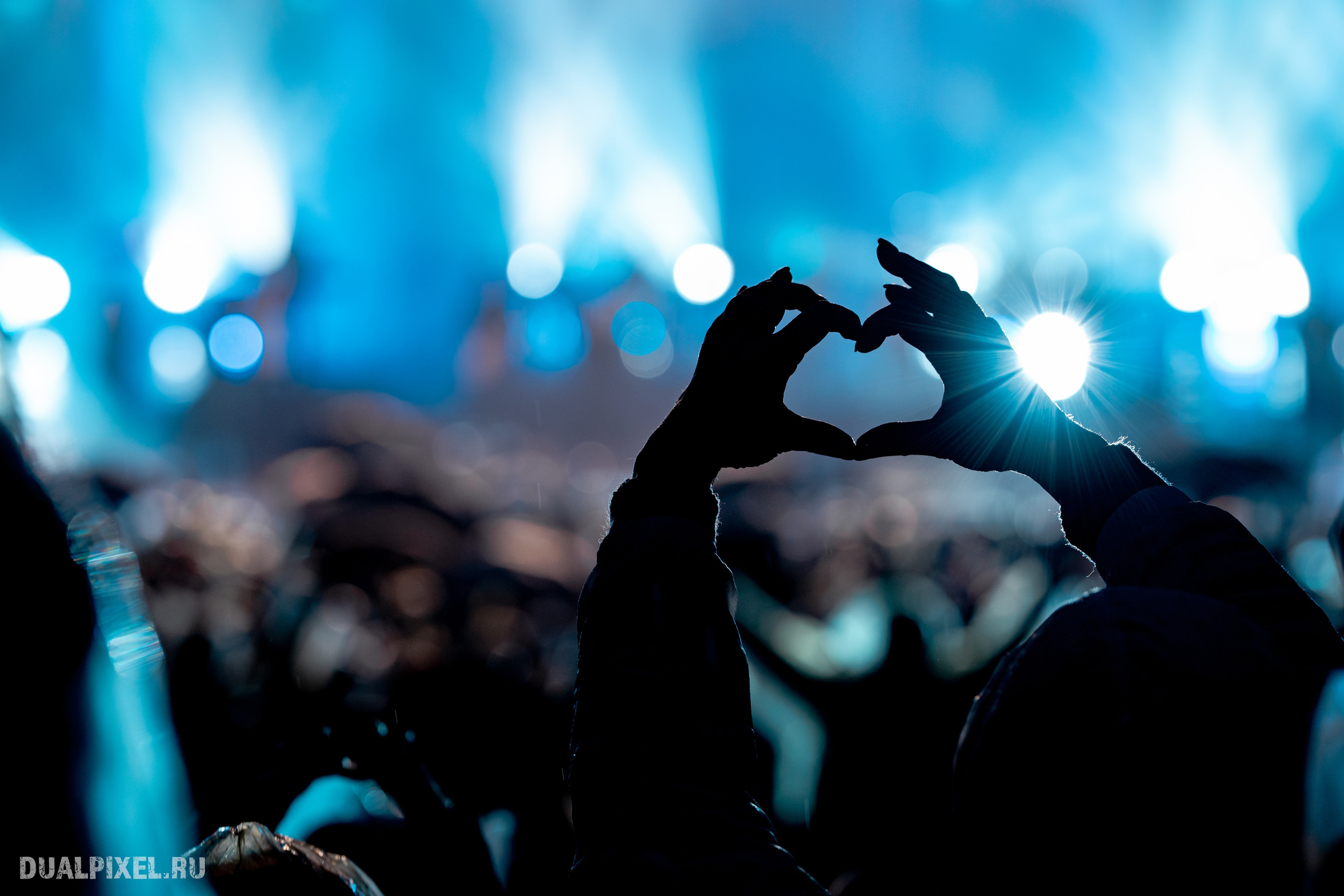 Владимир Пресняков. Магия музыки в кадре: Концертная Фотография