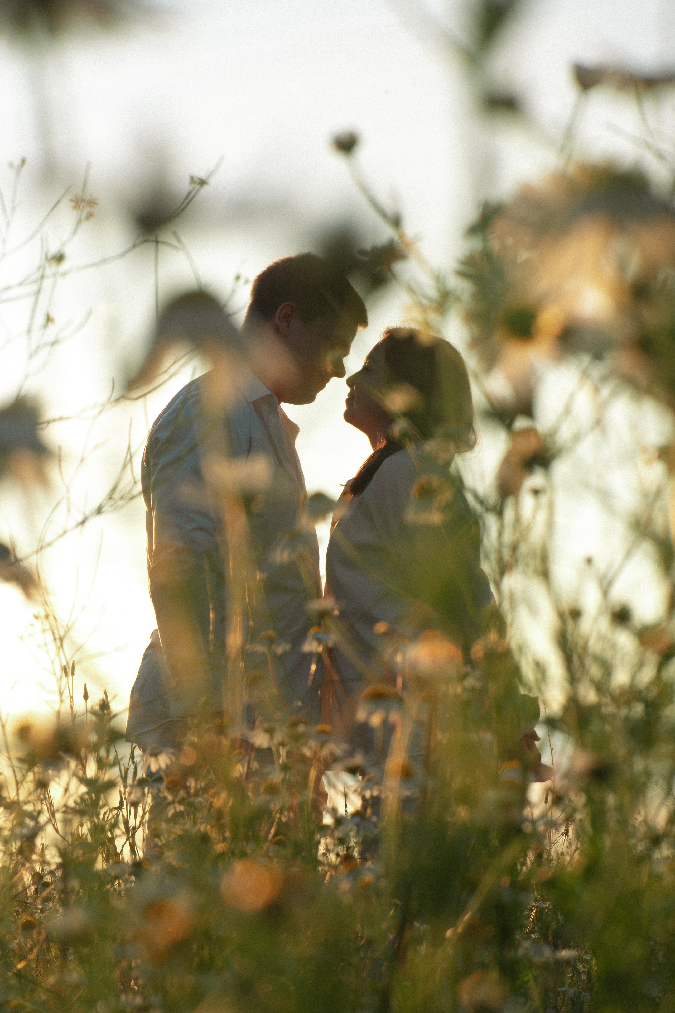 Поле. Фотограф Мария Зайчик