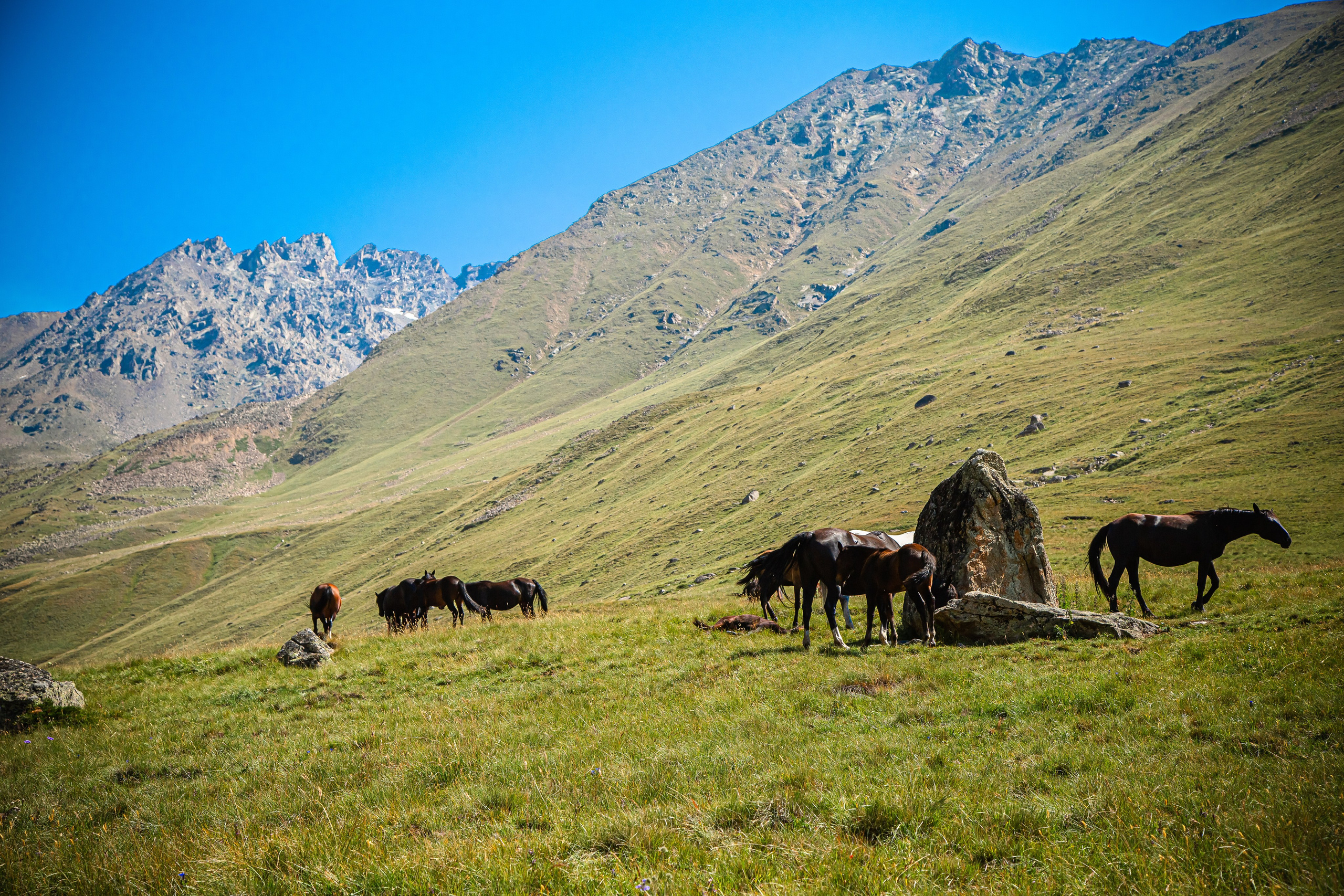 КАВКАЗ. Авторские туры с профессиональным фотографом