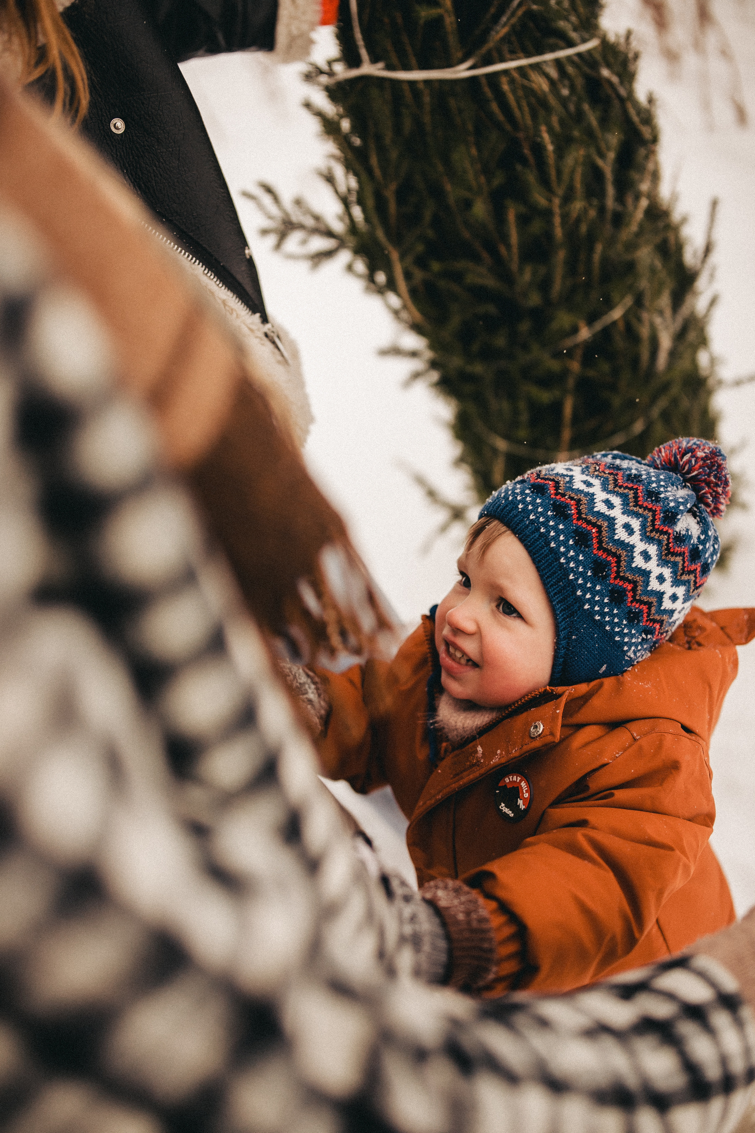 Елочку взяли мы домой. Фотограф в Тюмени Пушкарева Анастасия