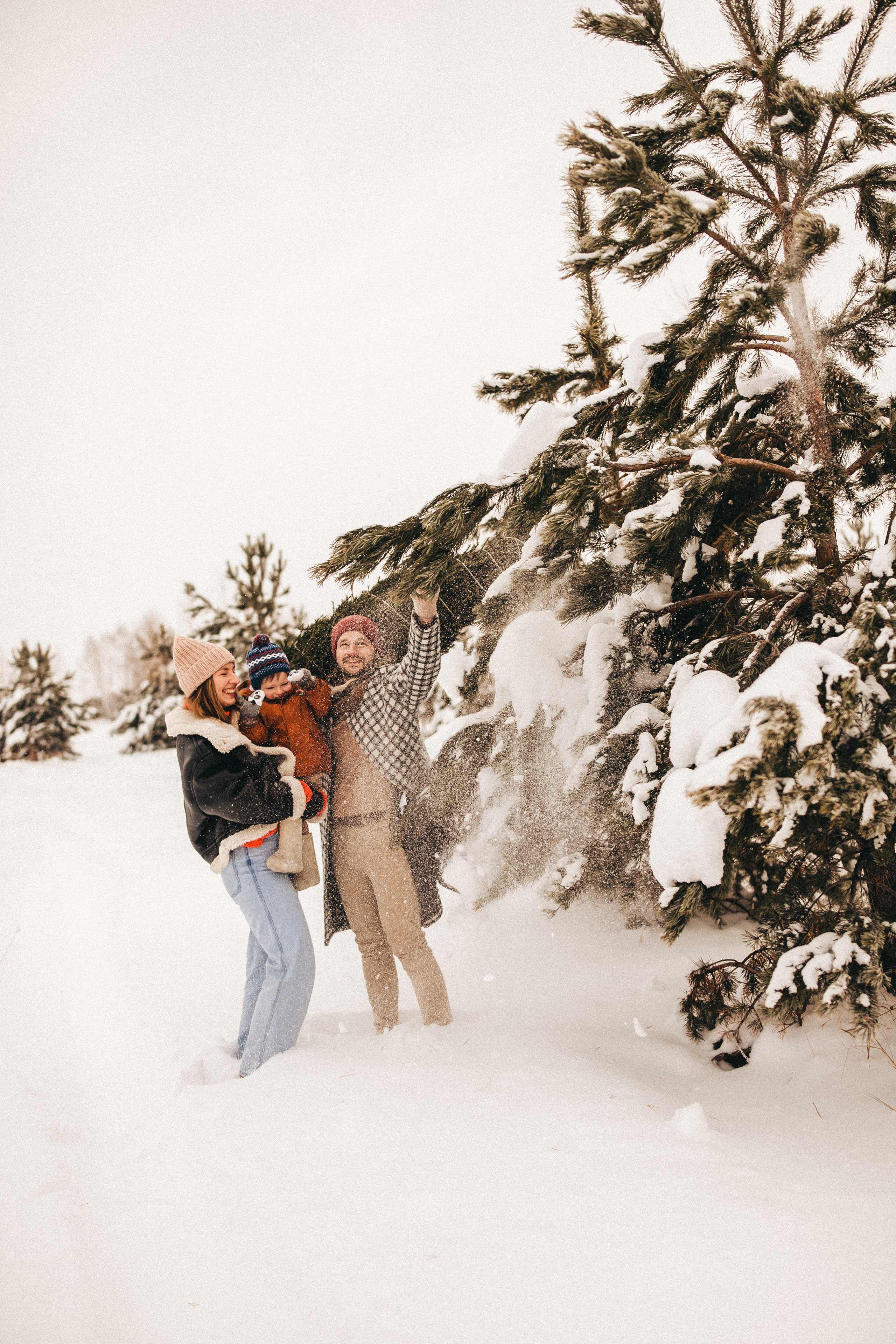 Елочку взяли мы домой. Фотограф в Тюмени Пушкарева Анастасия