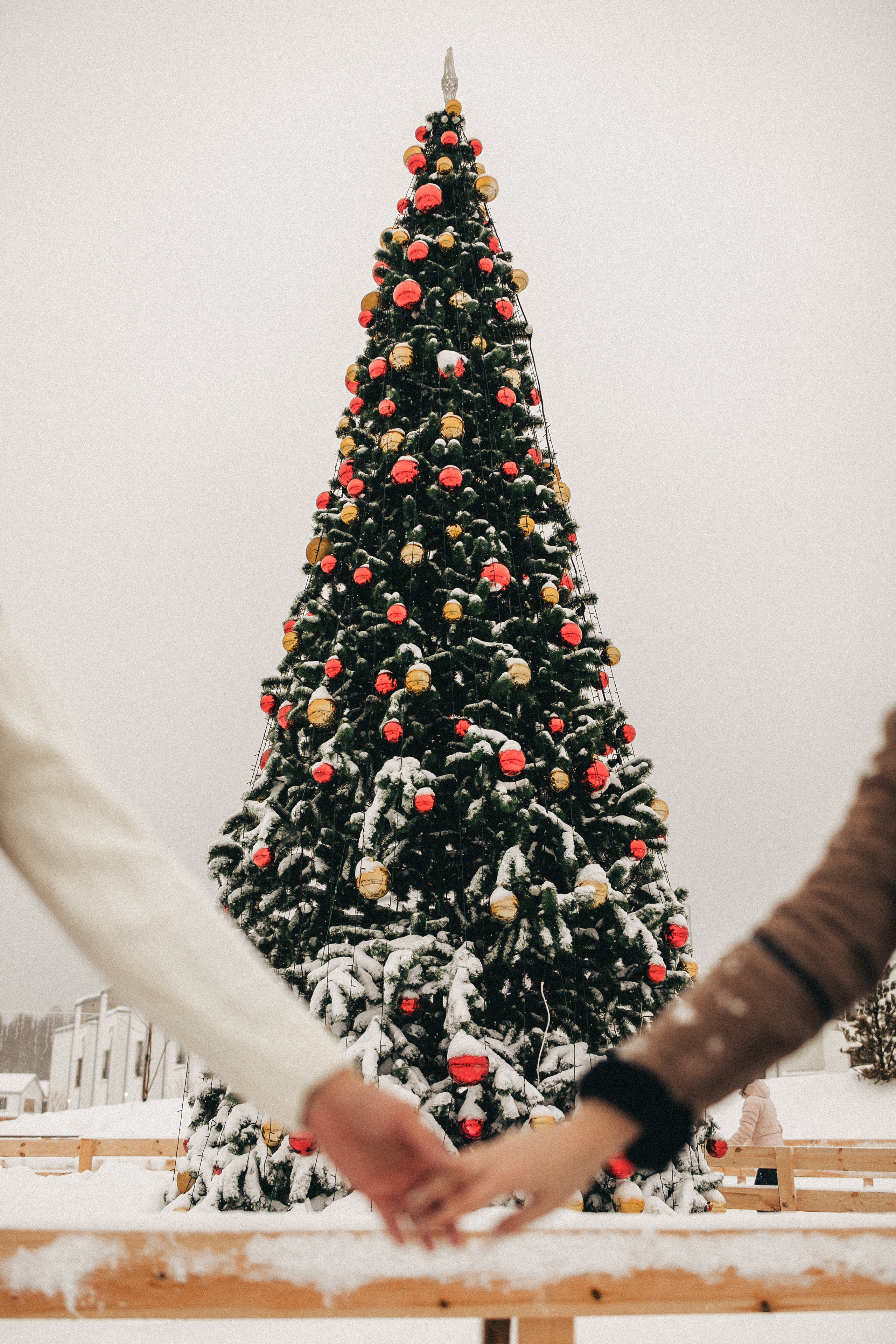 Леша и Снежана. Фотограф в Тюмени Пушкарева Анастасия