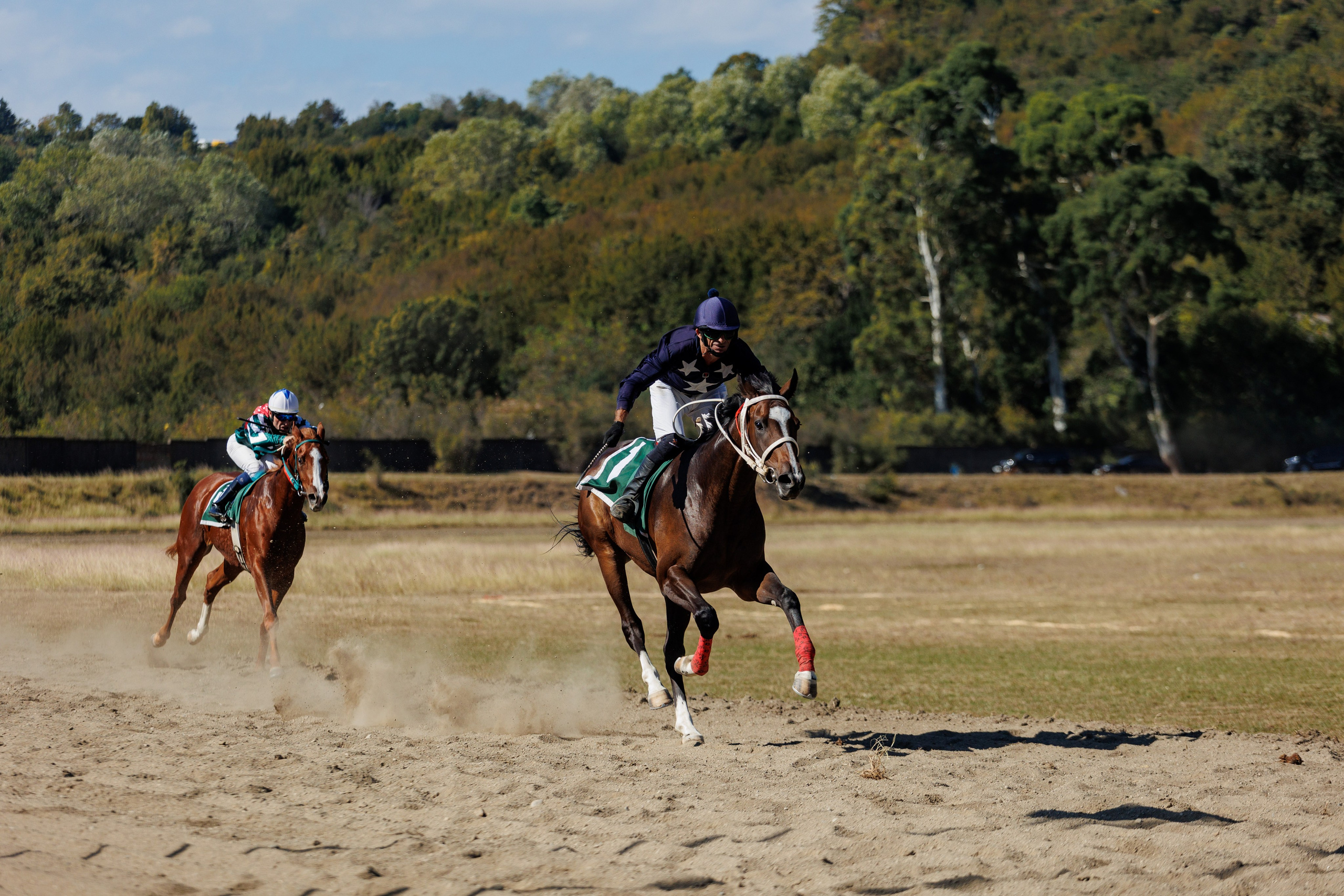 Horse racing. Photographer in Saint-Petersburg and Moscow Max Spector