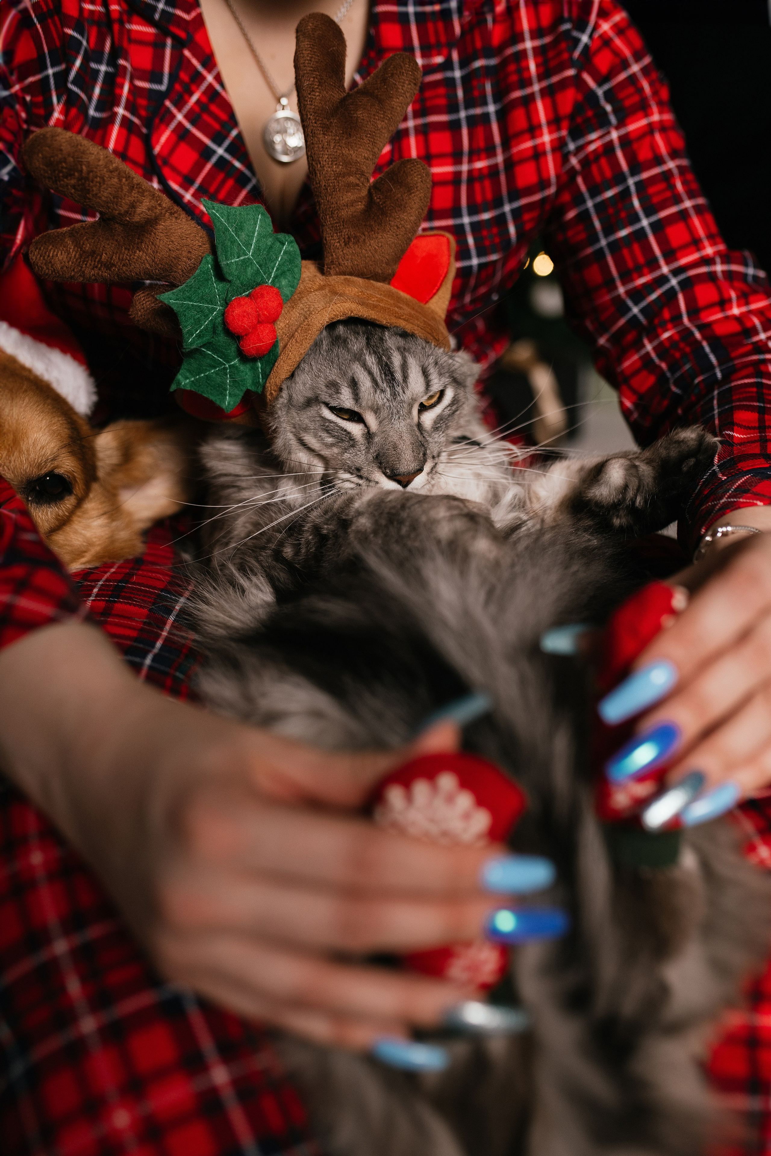 Люда. Свадебный, семейный фотограф в Рязани Лена Брант