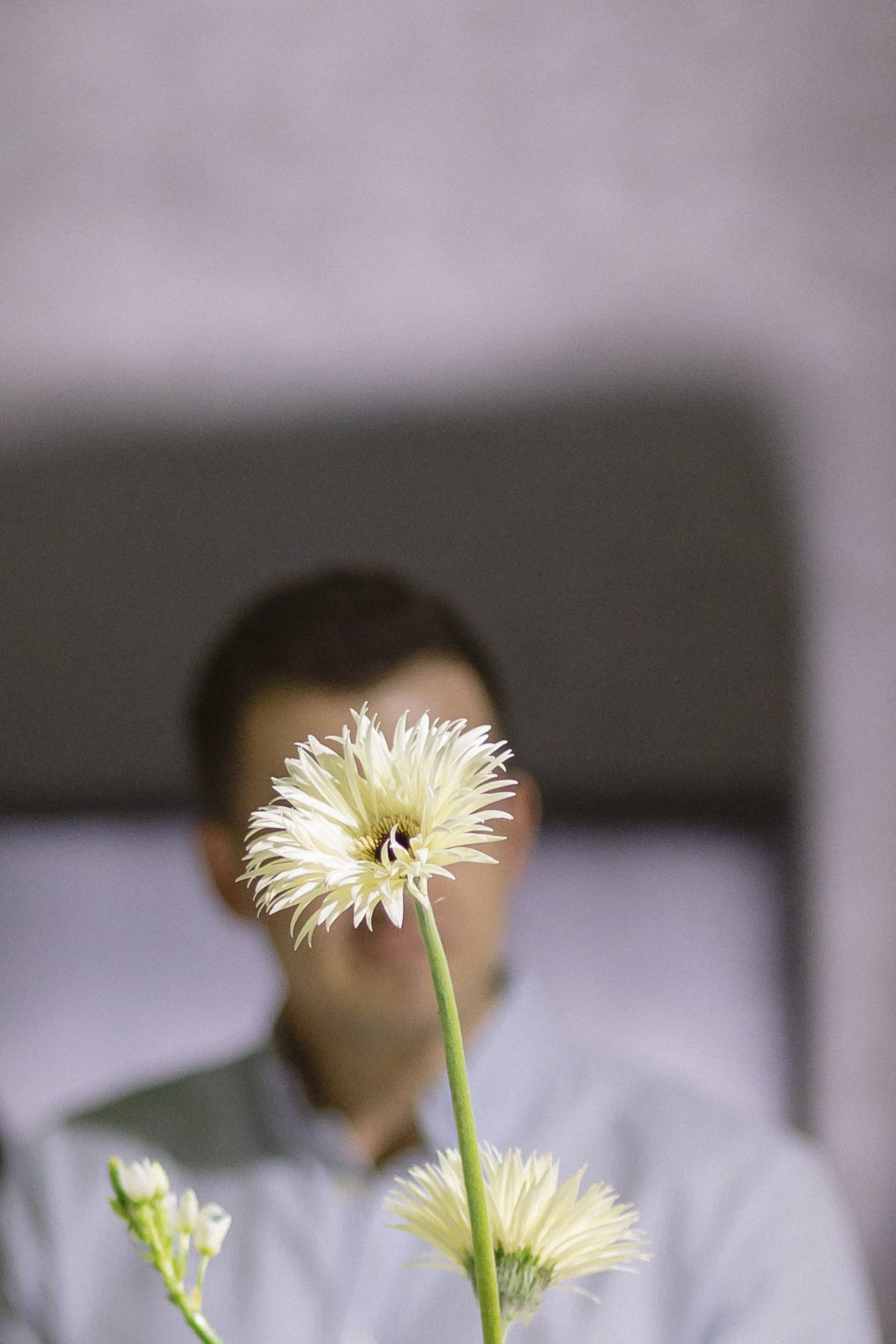 Вirthday. Свадебный фотограф Колесников Антон