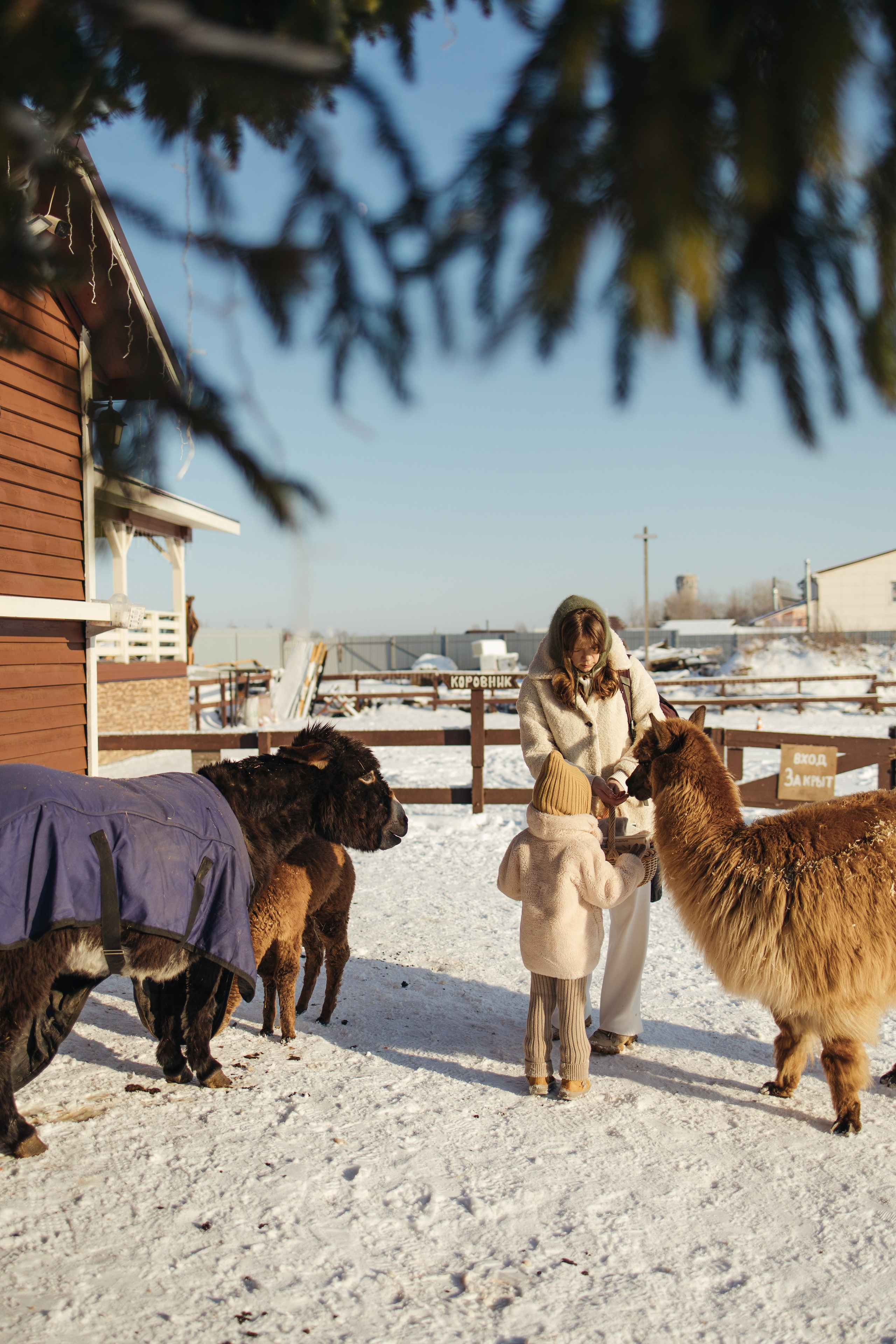 На ранчо. Портретный фотограф в Санкт-Петербурге
