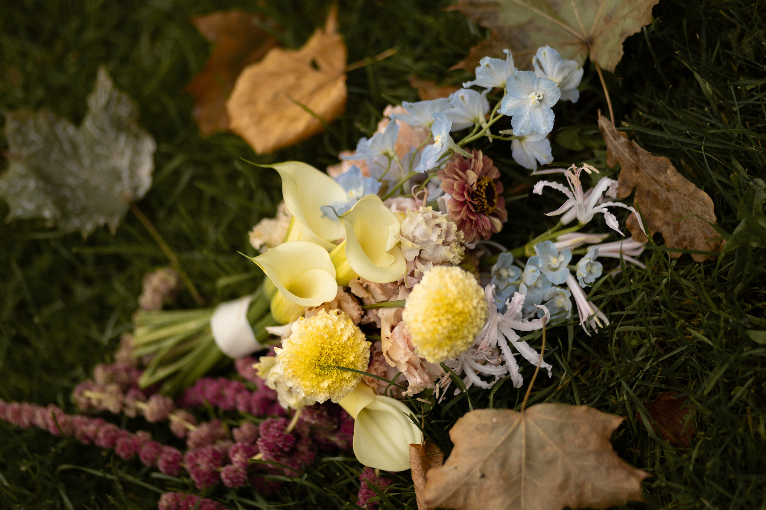 У Исаакия. Портретный фотограф в Санкт-Петербурге