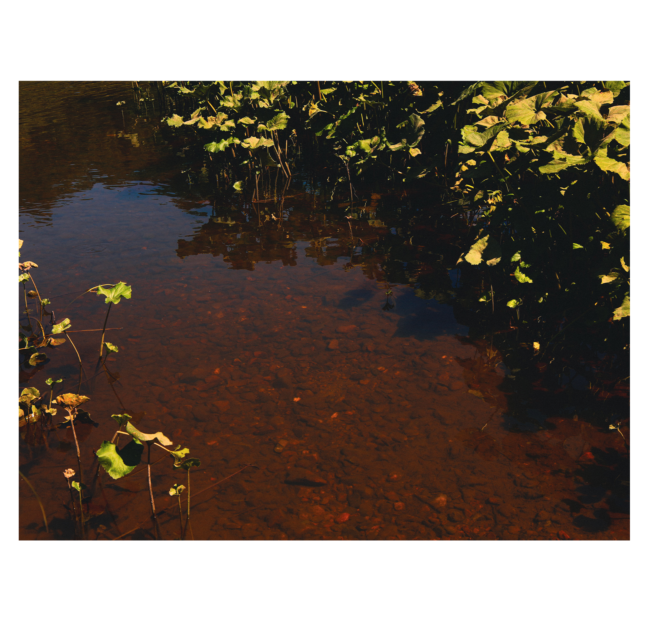 Summer hike. Фотограф/дизайнер в Екатеринбурге Хитрый Дмитрий