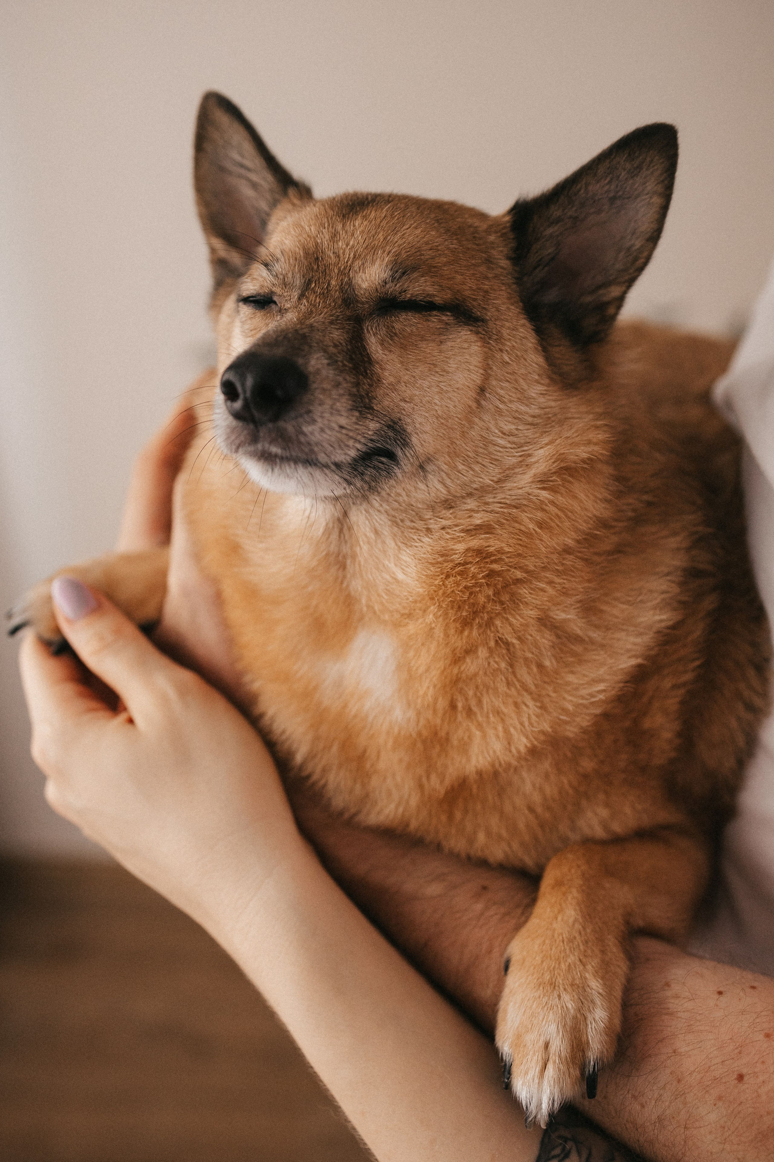 Маша с Лёшей и дочка Саша. Фотограф Нижний Новгород