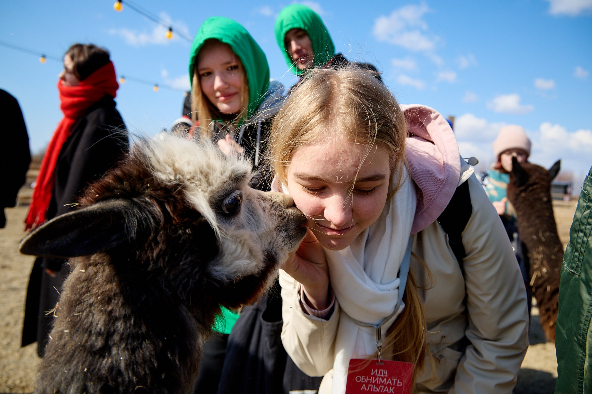 Тихоокеанская проектная школа 2025