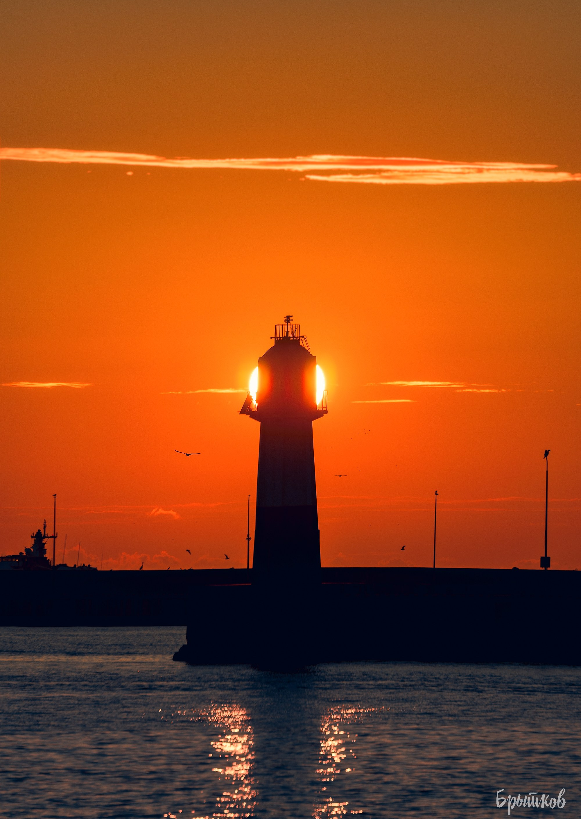 морпорт сочи Брытков Николай