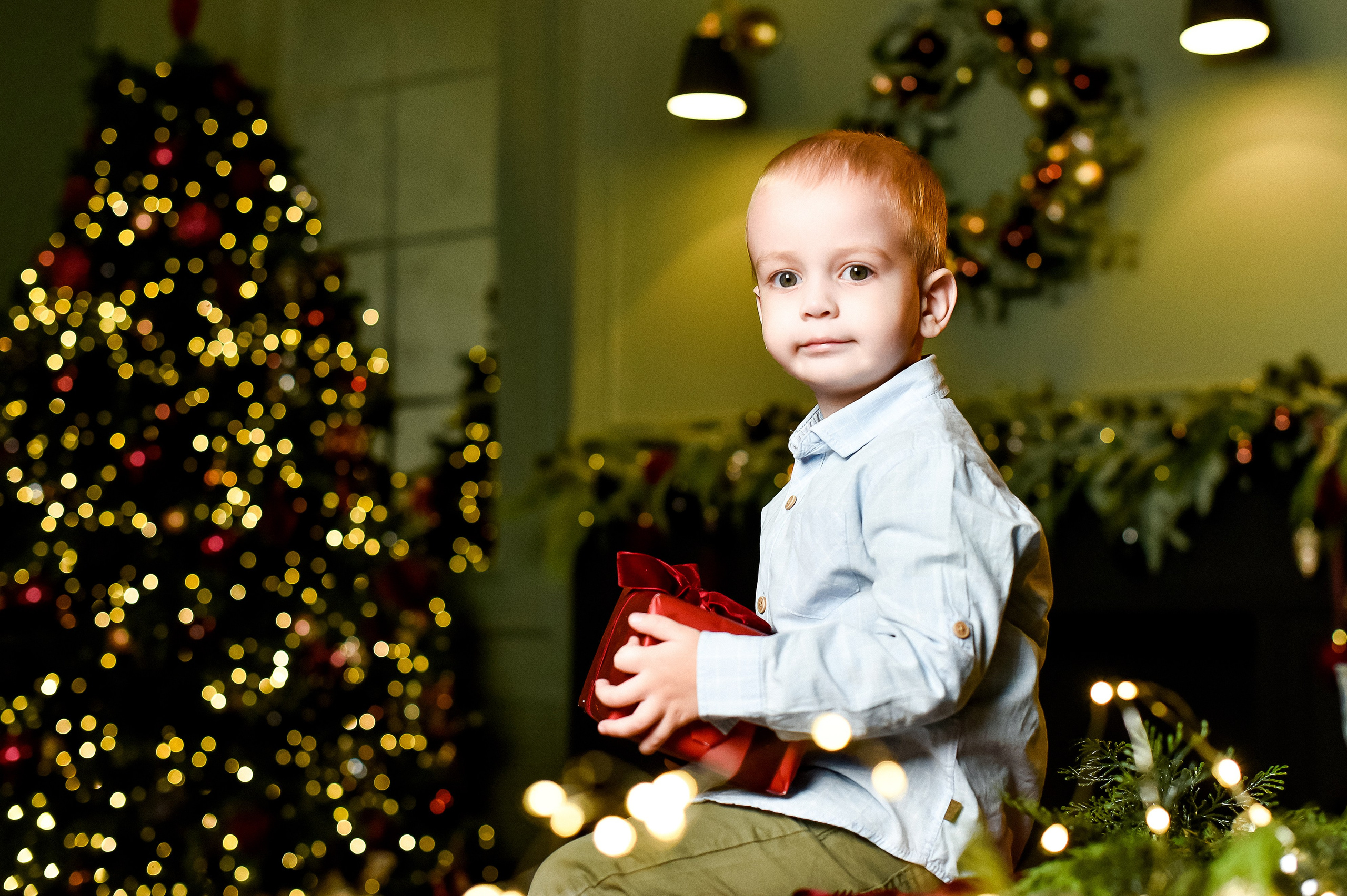 Большая семья Лины