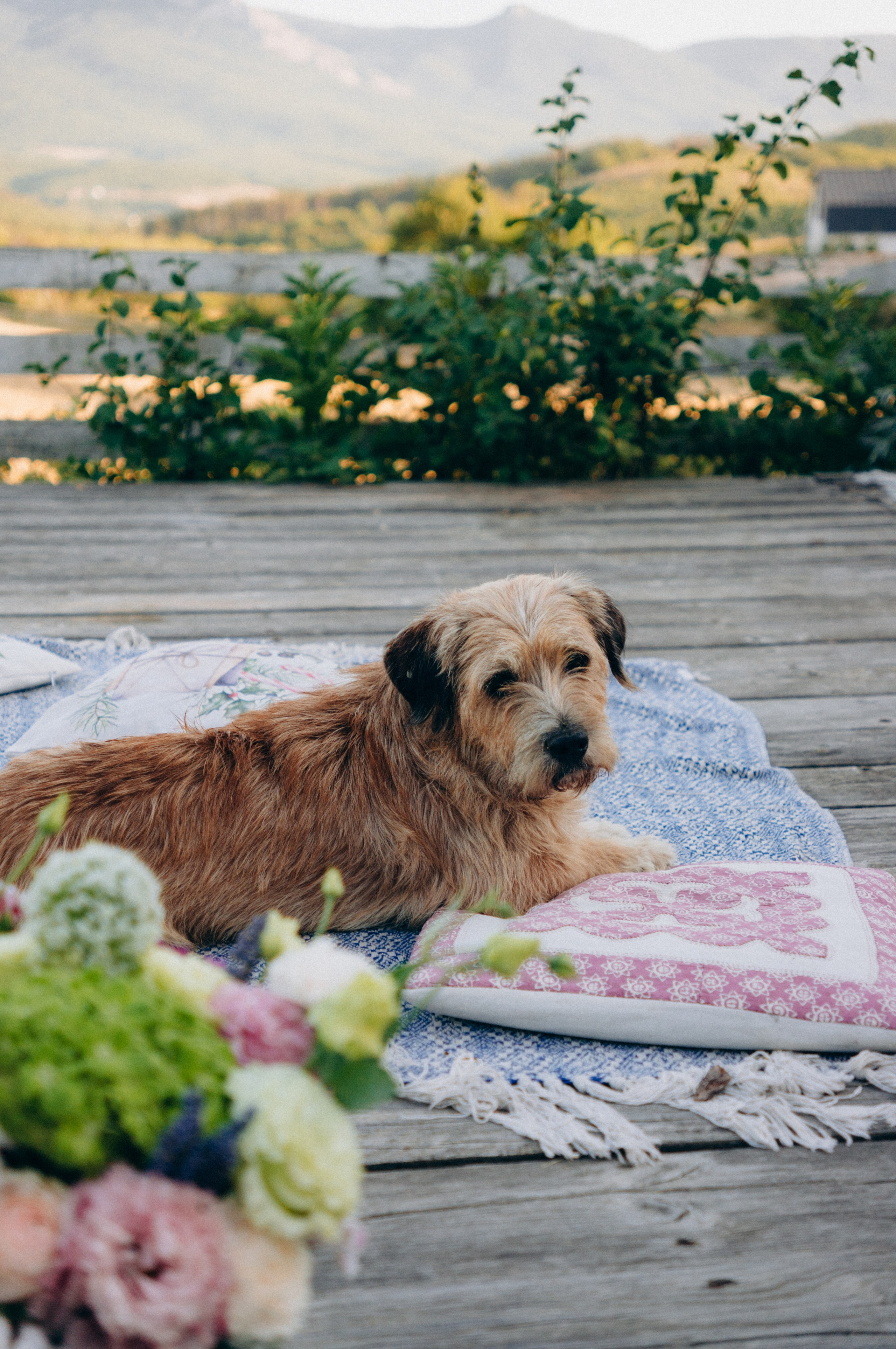 Мастер-класс по флористике. Обо мне