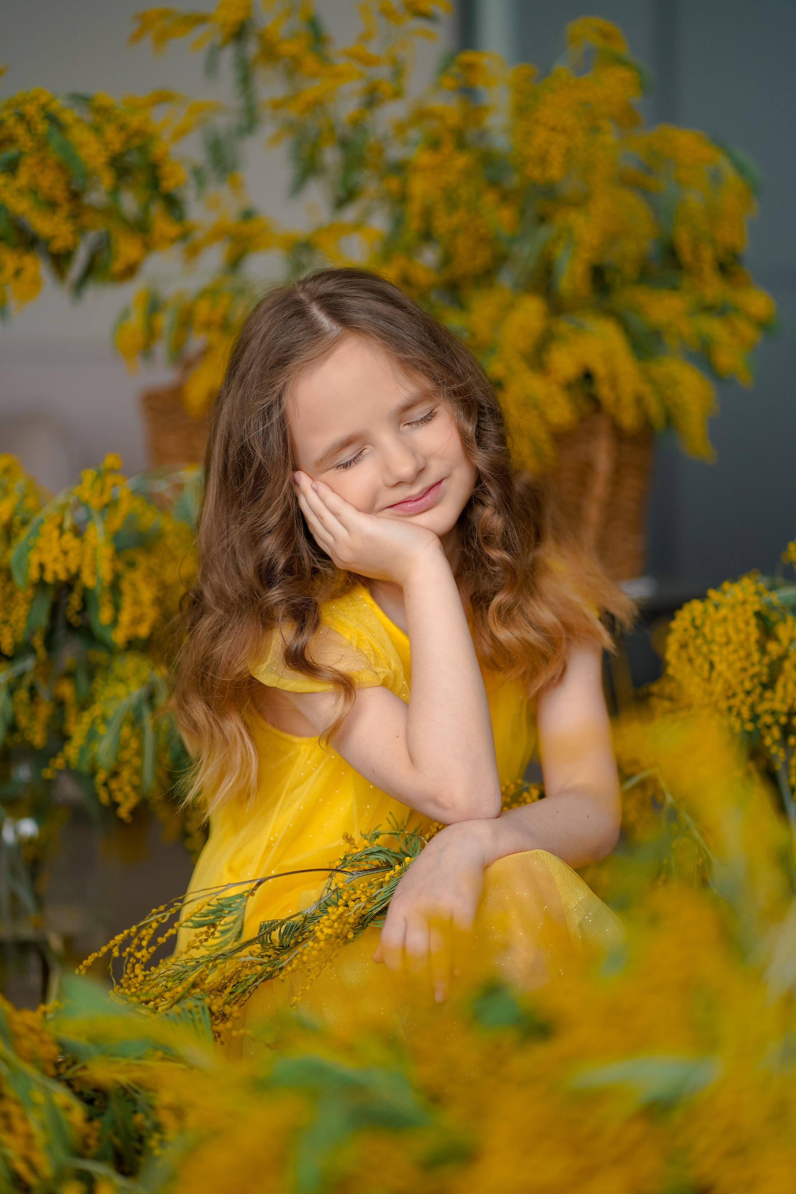 Мимоза. Фотограф Татьяна Митрофанова