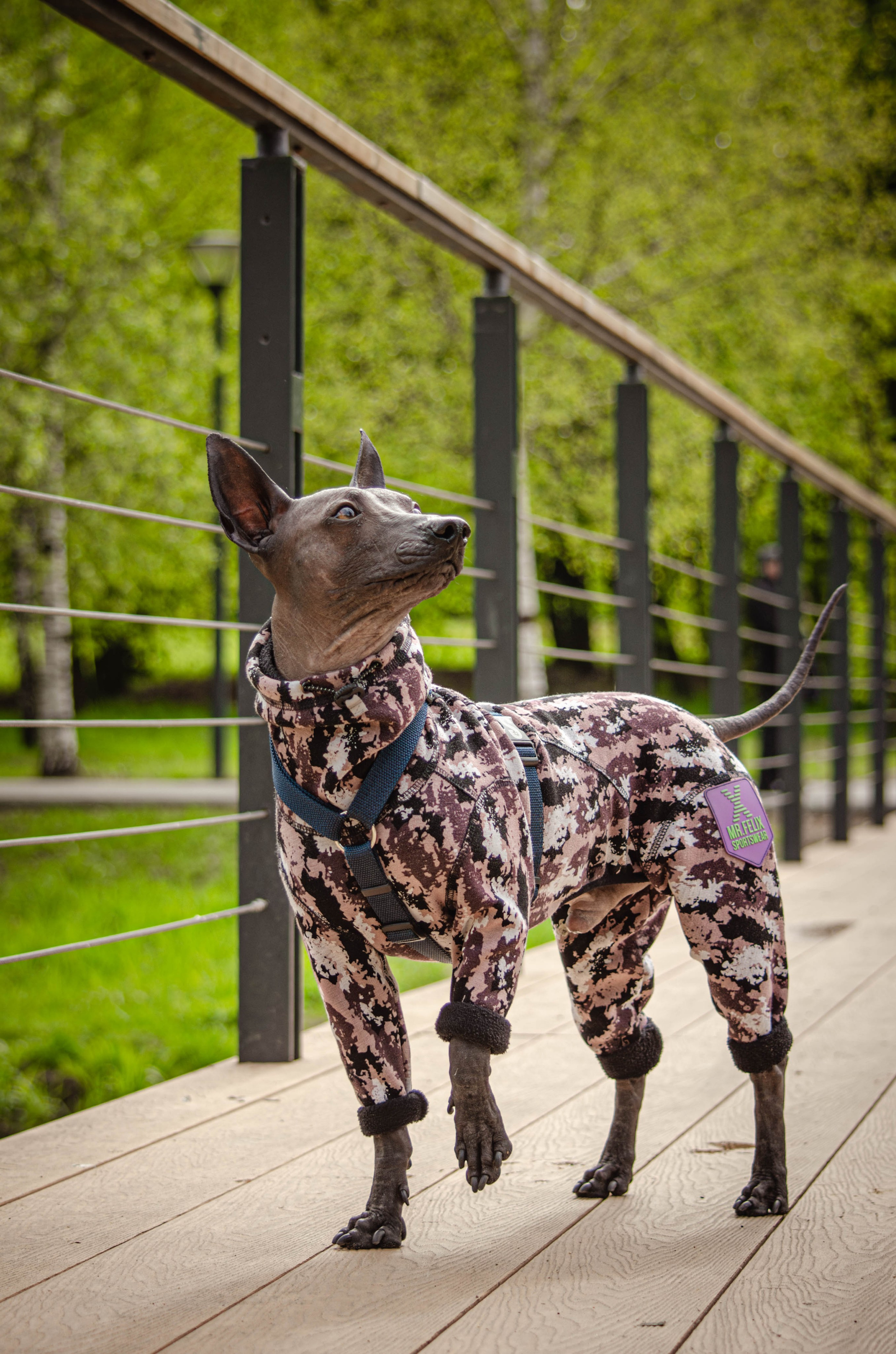 Сёма. Фотограф Светлана Блинова, Москва и Московская область