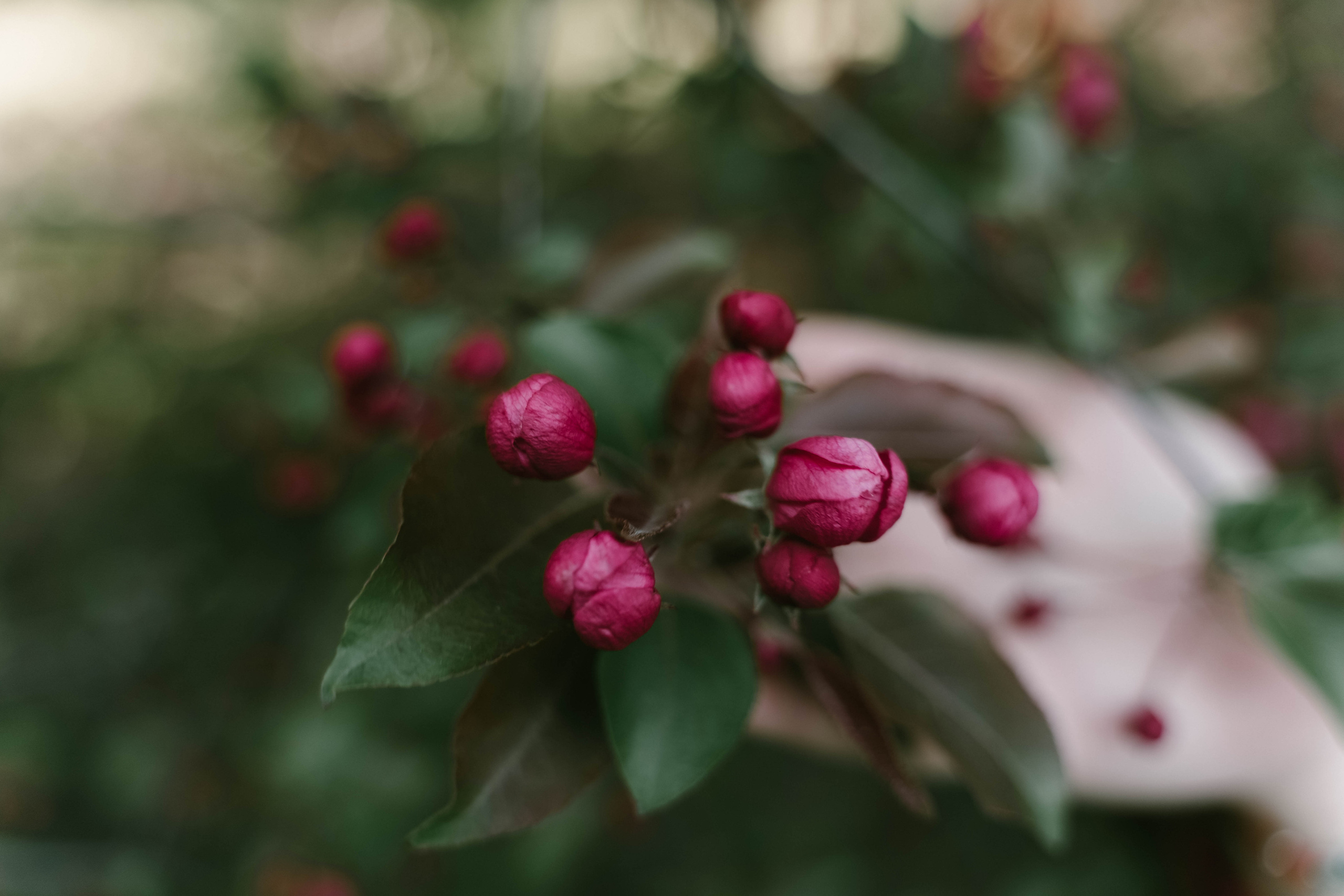 Прогулка в парке. Фотографы на роды в Москве. Фото и видео родов. Фотопроект «Продолжение рода»