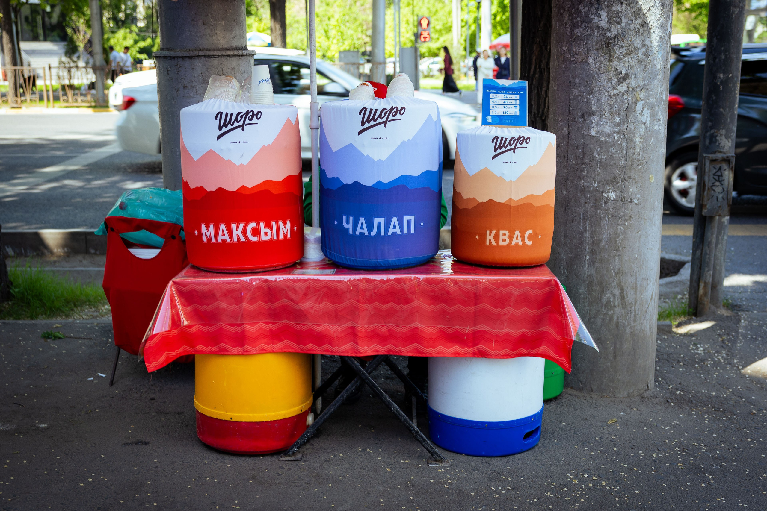 Кыргызстан (весна 2025). Фотограф Виноградов Константин