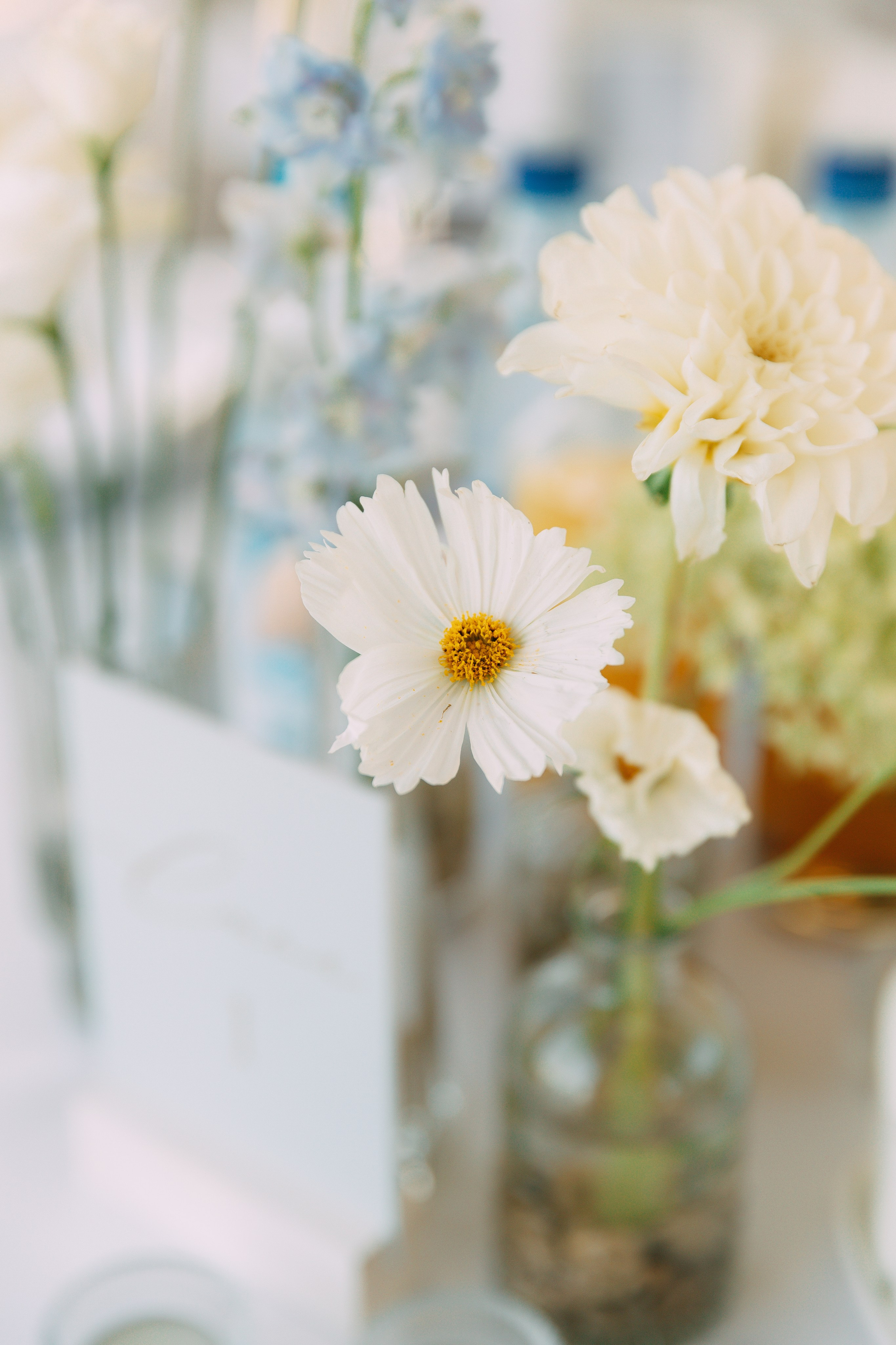 Оля и Кирилл. Катерина Макиева