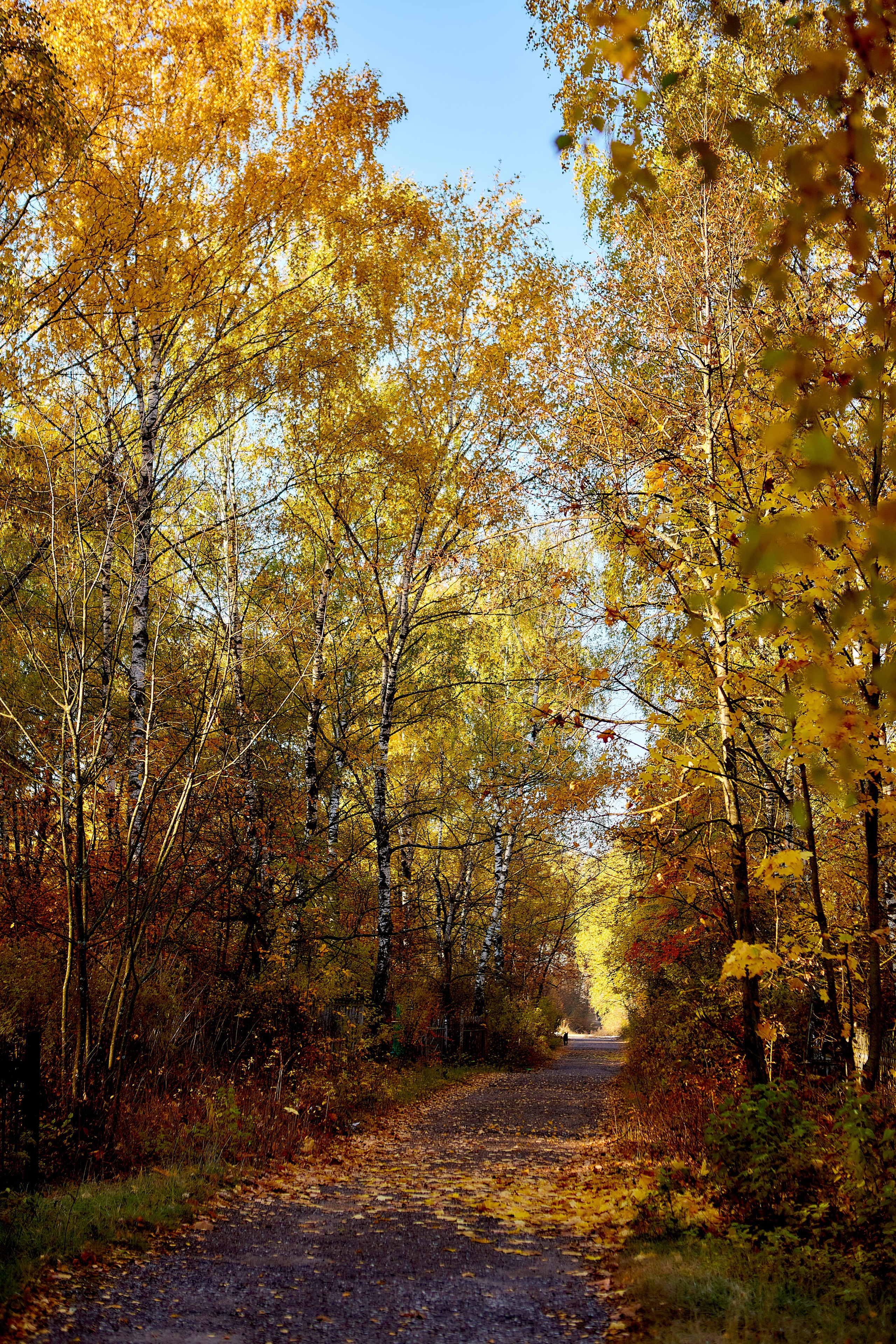 Фотографии природы