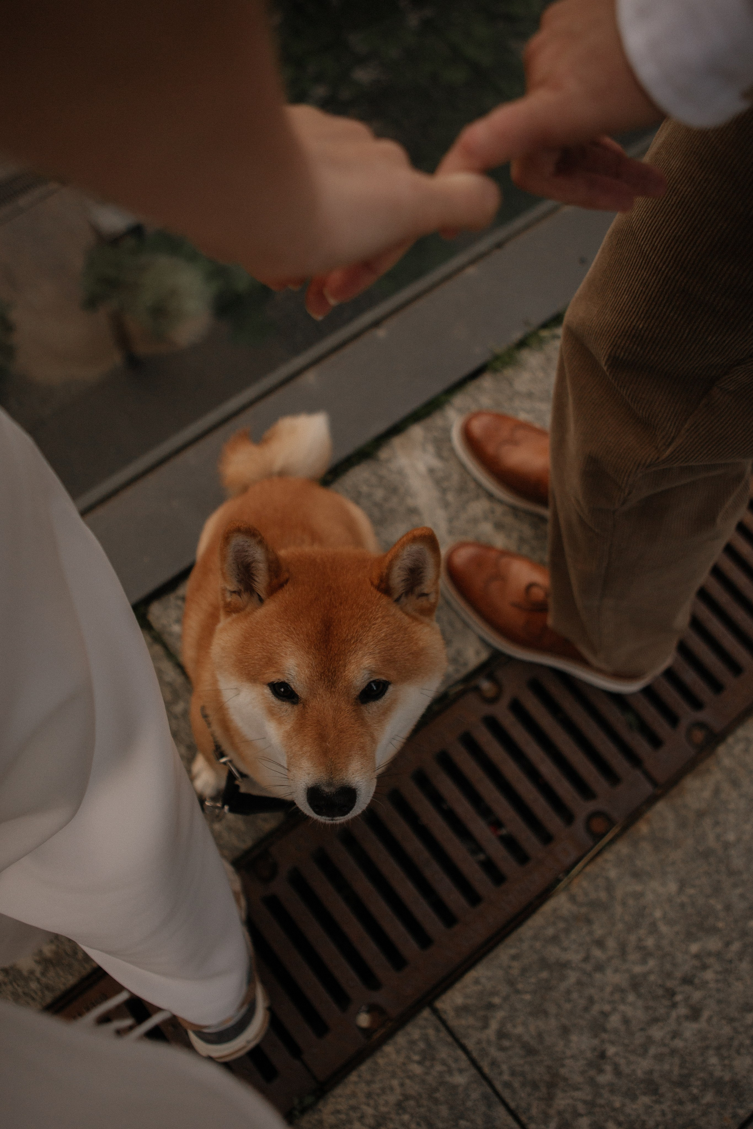 Dima and Katya. Portrait, family and pet photographer in Cyprus, Ksenia Bourdelle