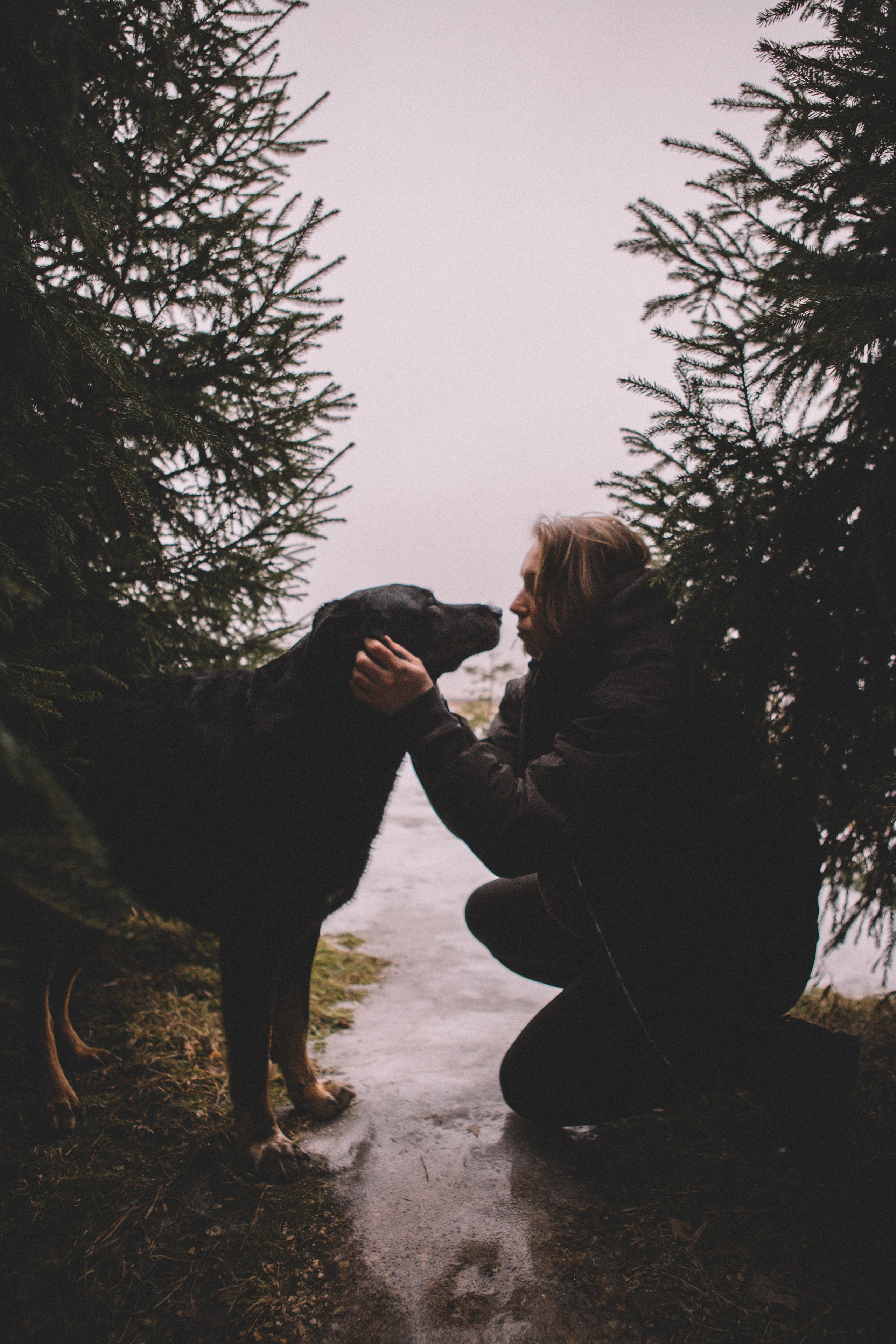 Alyona & Felix. Portrait, family and pet photographer in Cyprus, Ksenia Bourdelle