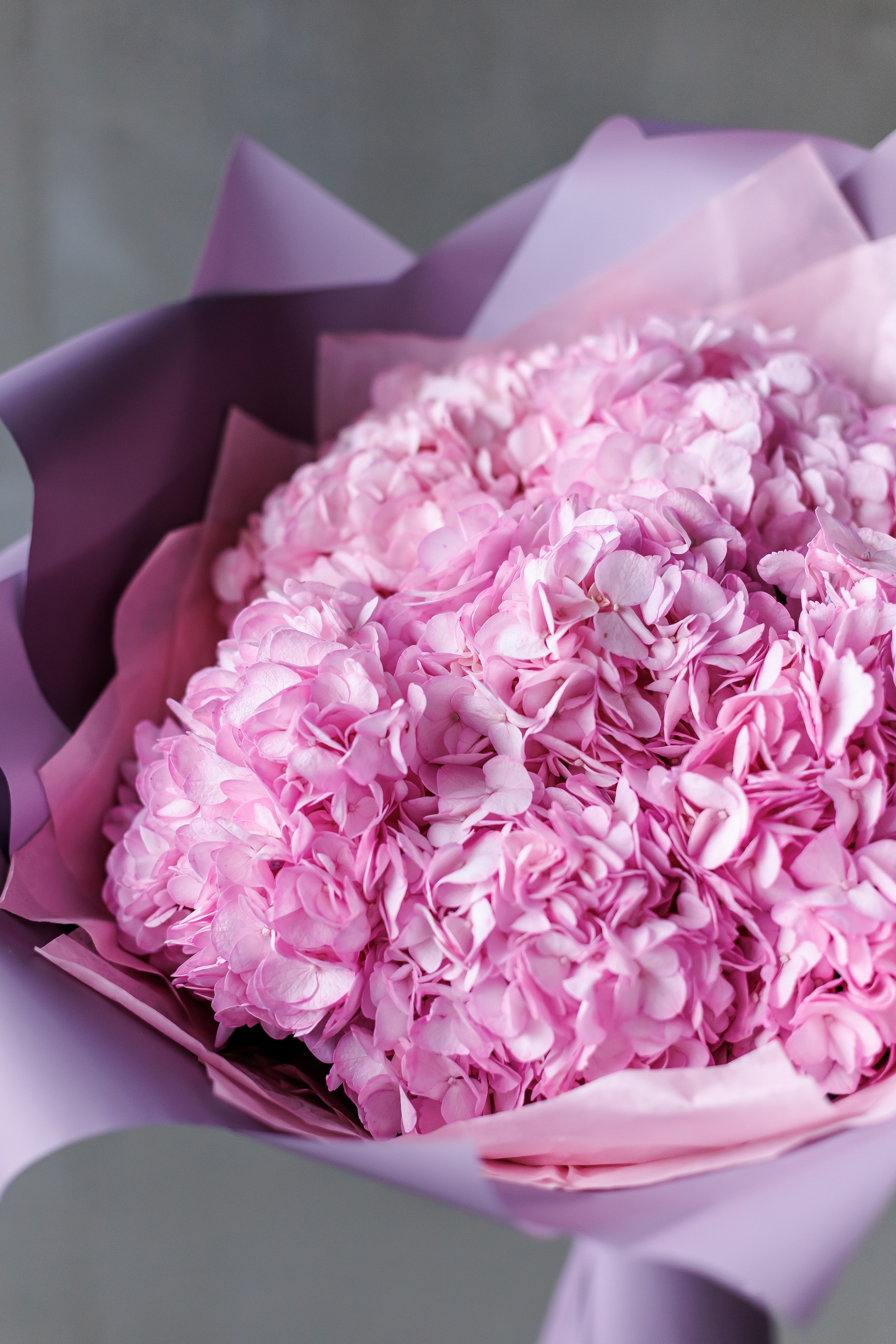 Каталоги. Фотограф в Москве Базанова Дарья