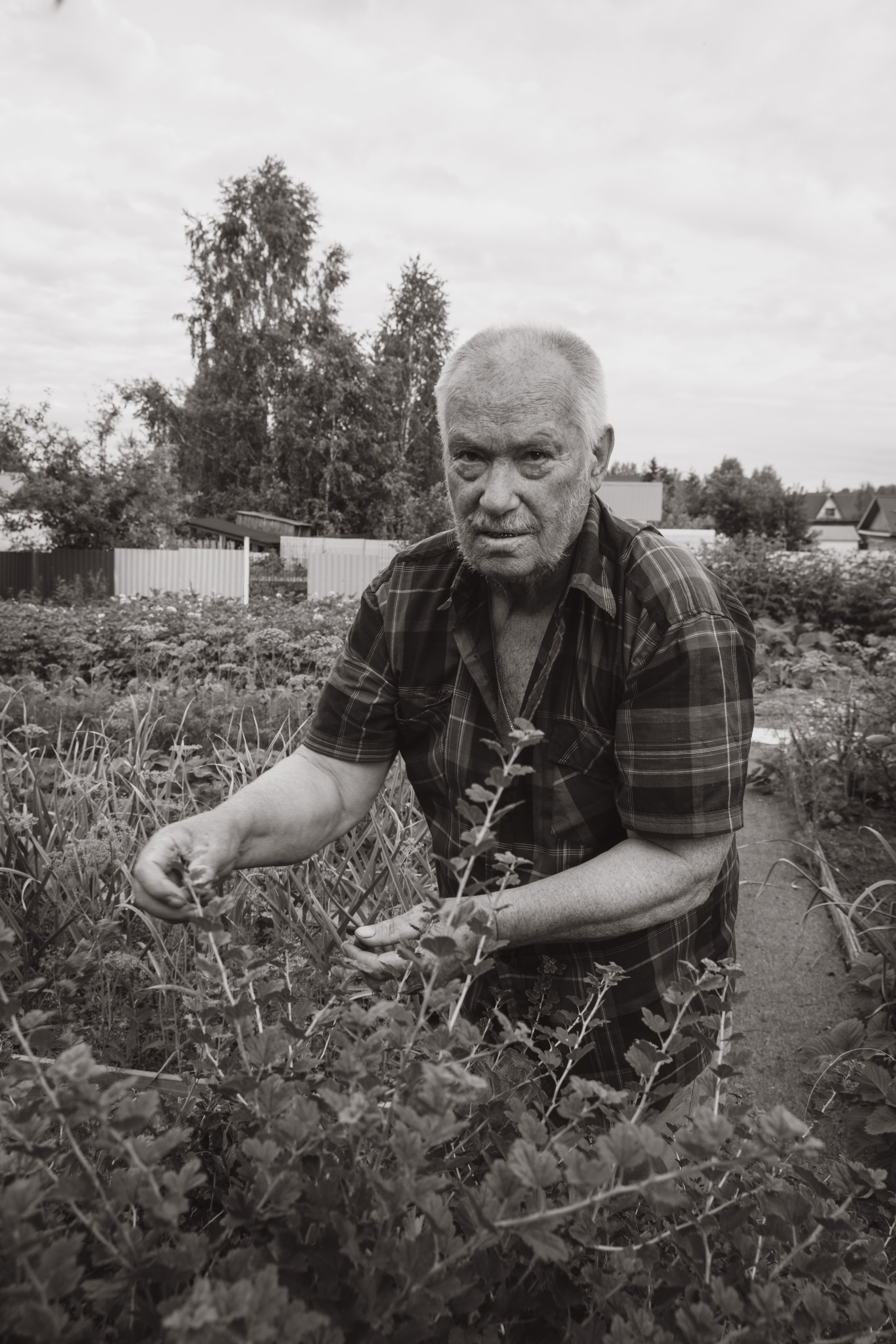 Сергей и Вера. Фотограф Евгения Войко Тюмень